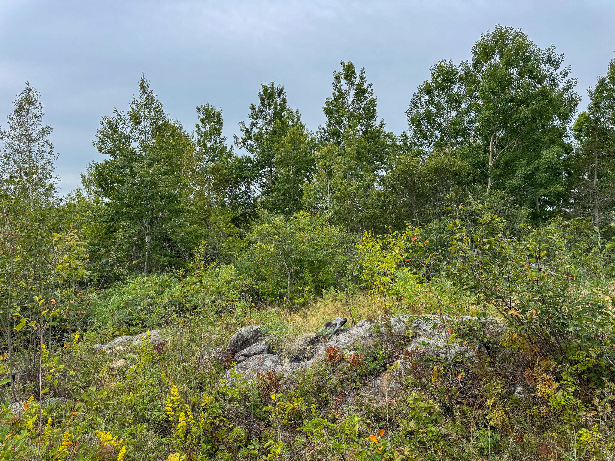 main property photo 13