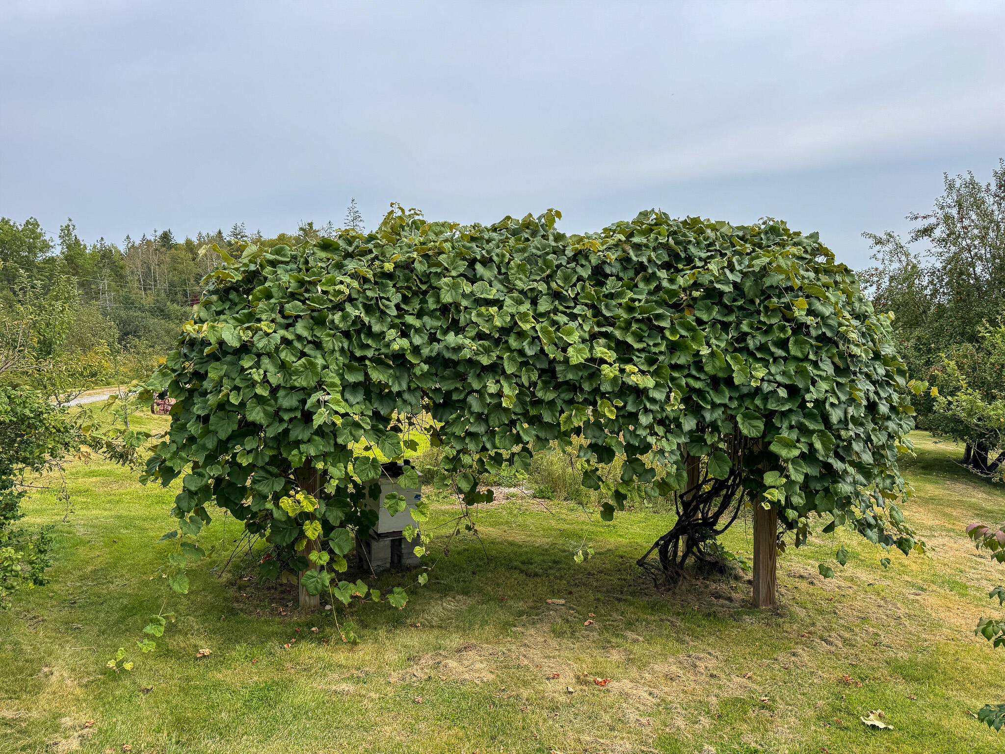 main property photo 18