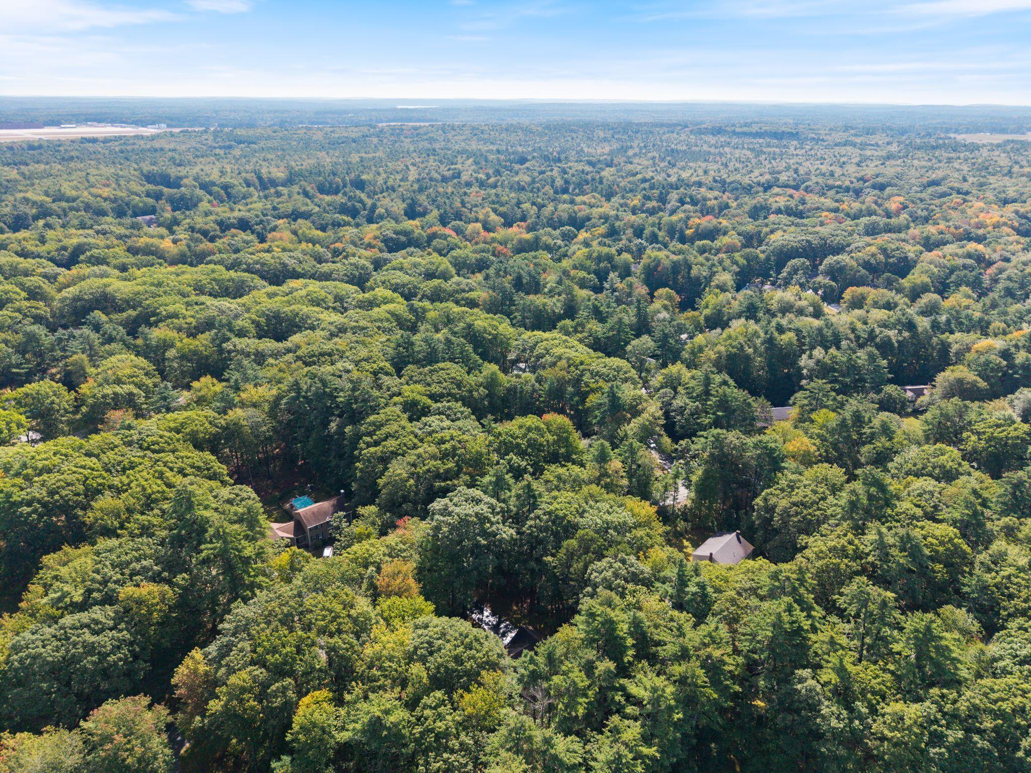 main property photo 59