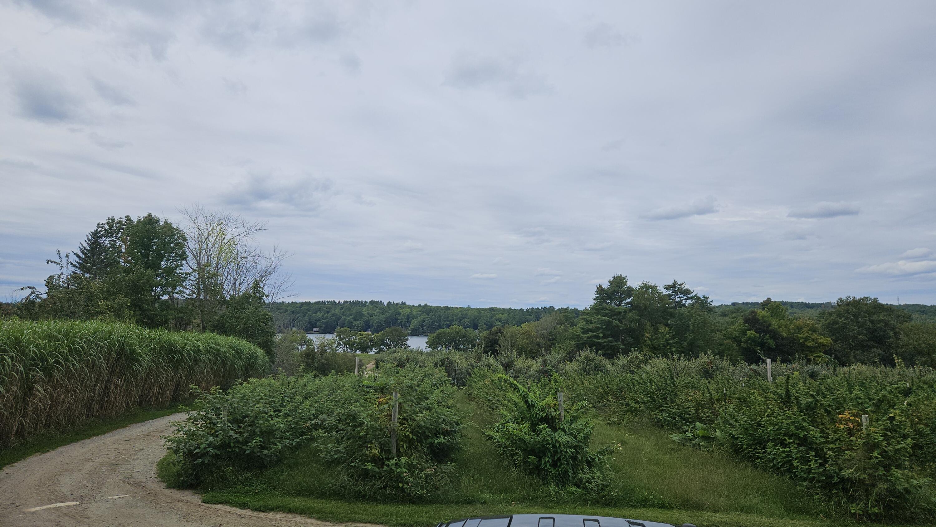 main property photo 27