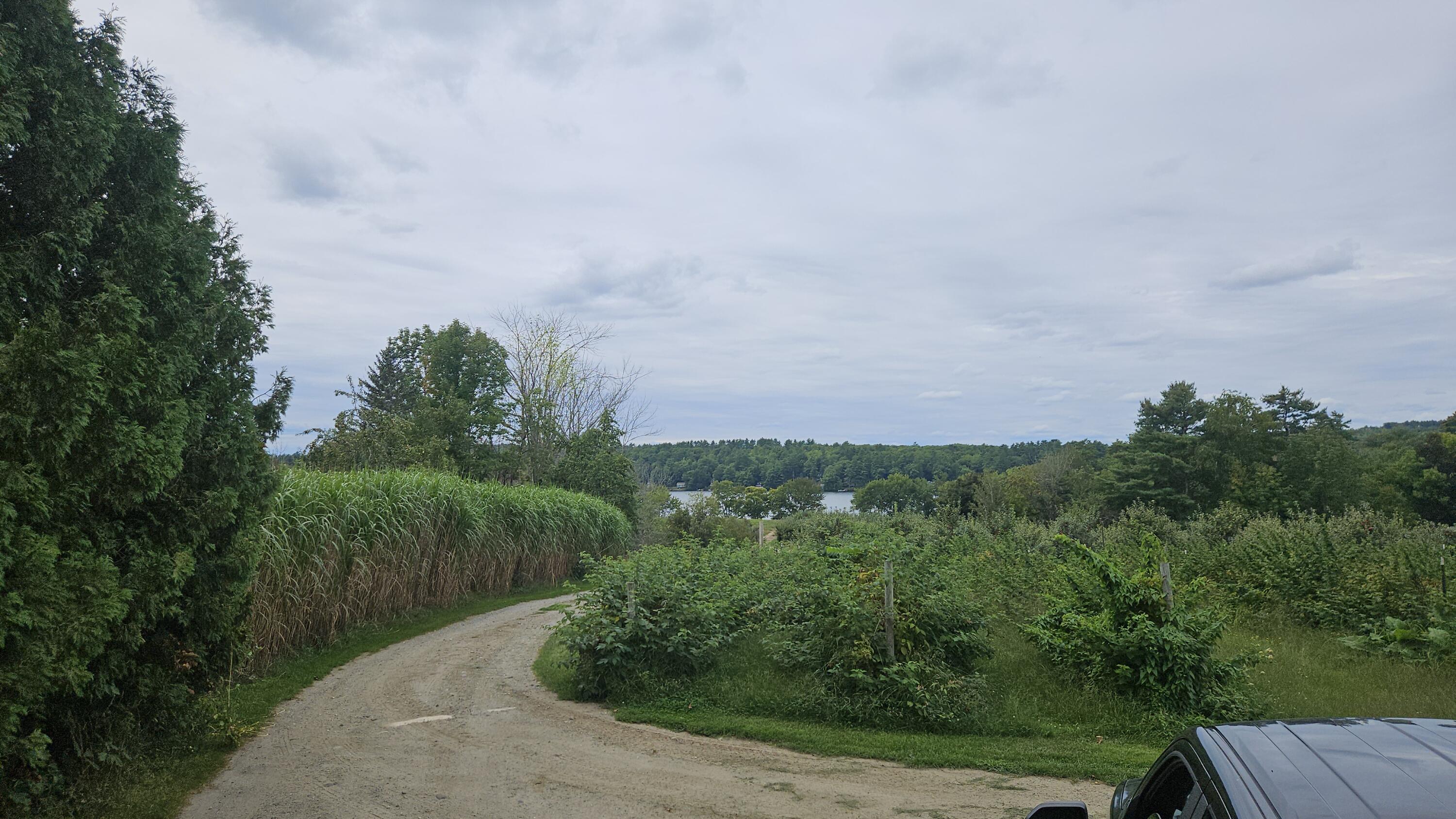 main property photo 29