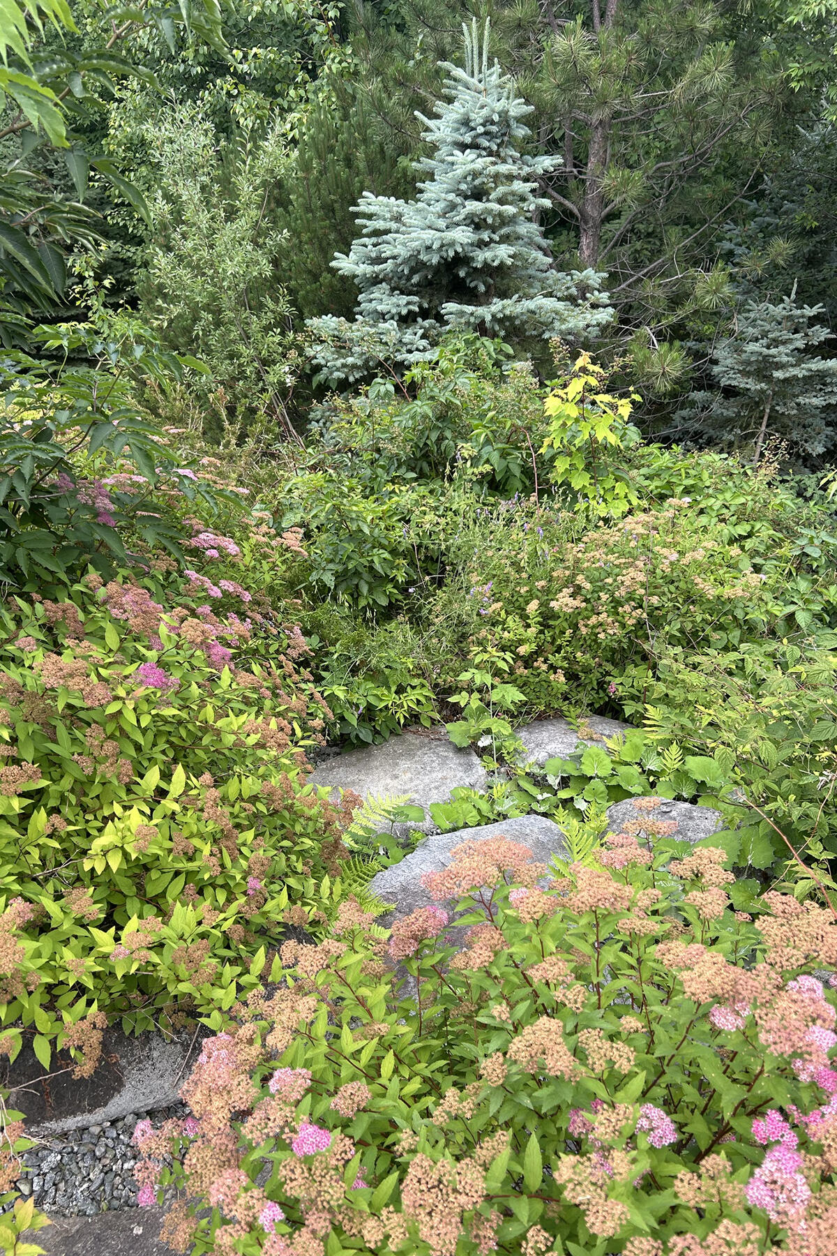 main property photo 36