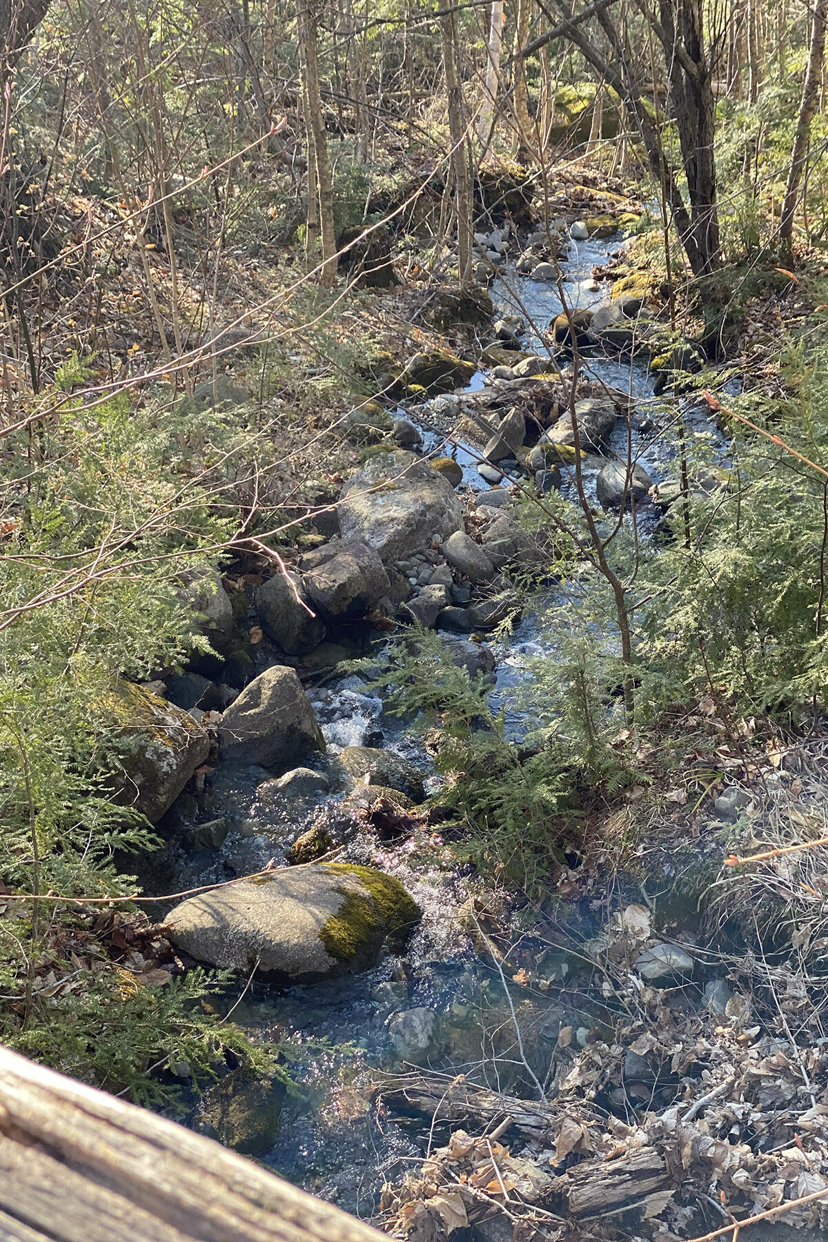 main property photo 37