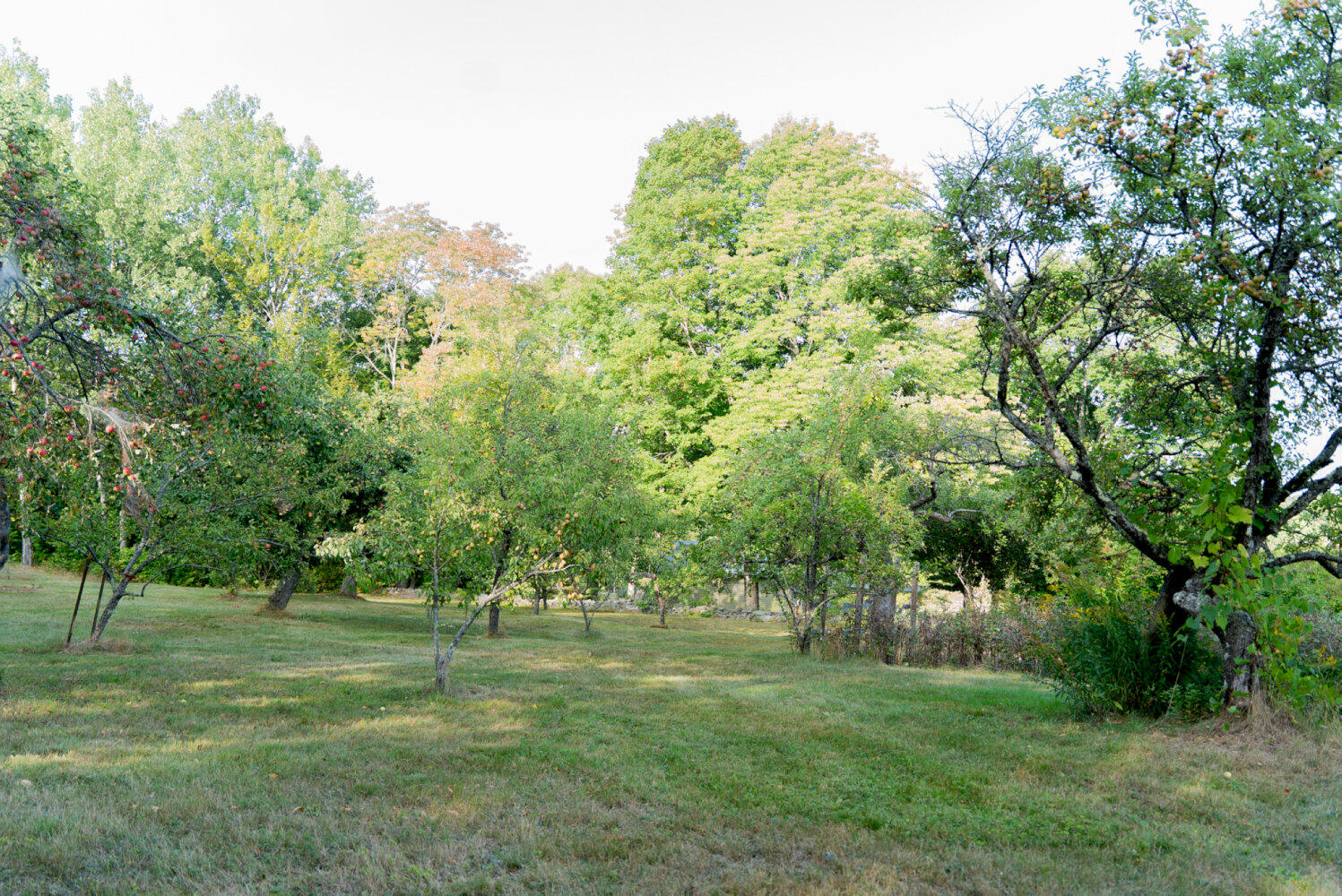 main property photo 11