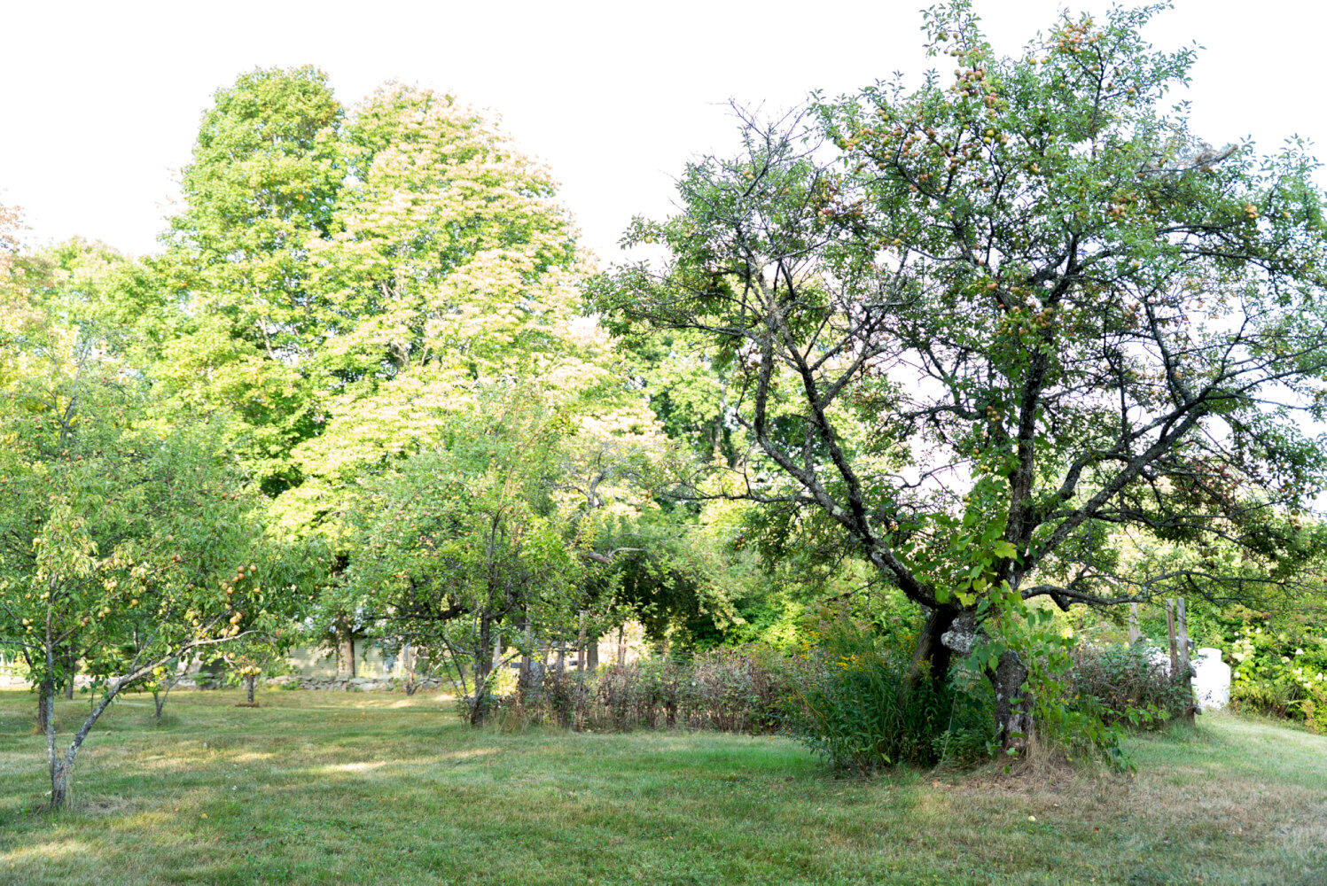 main property photo 62