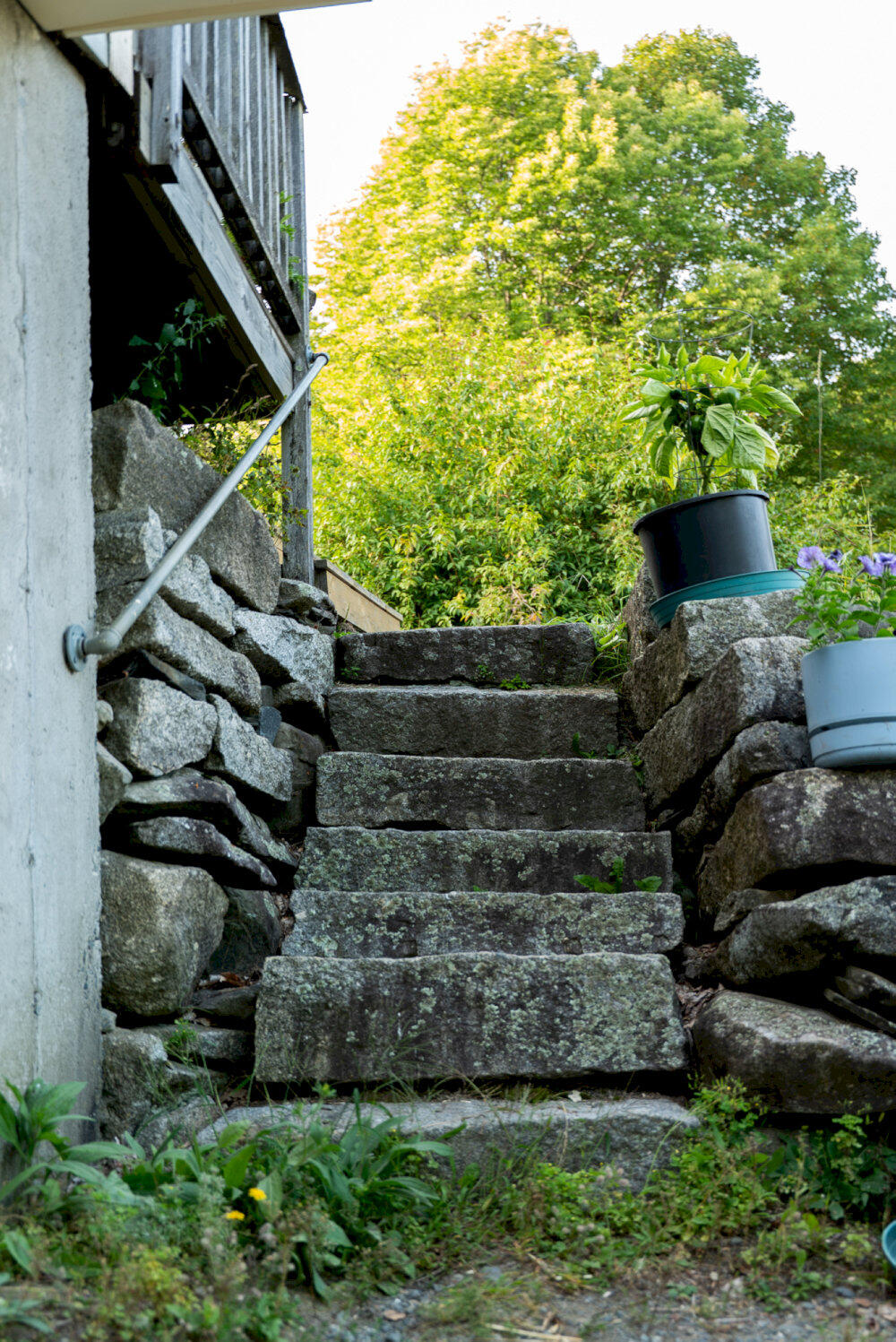 main property photo 7