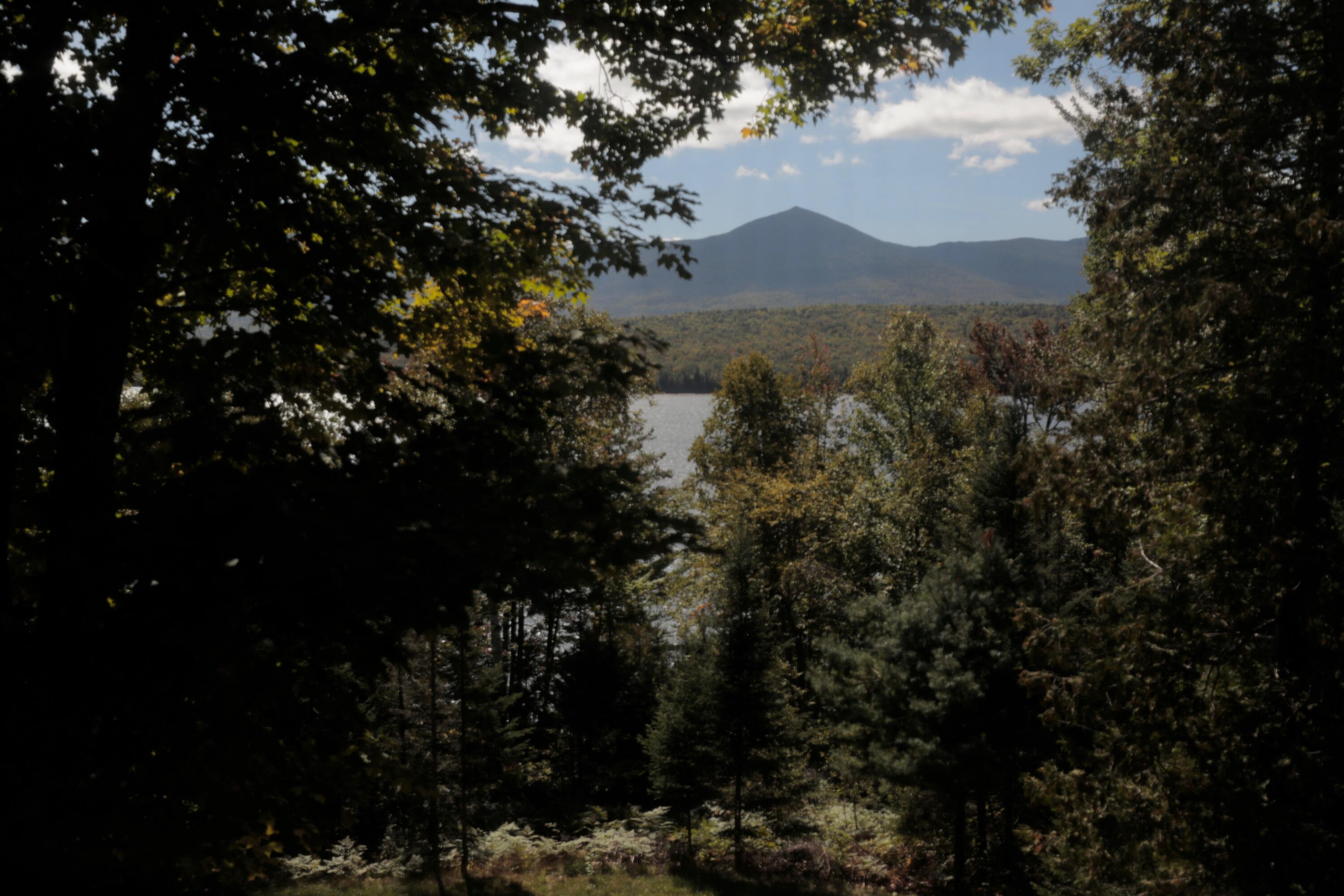 main property photo 76