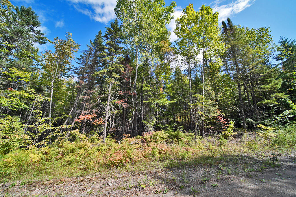 main property photo 59