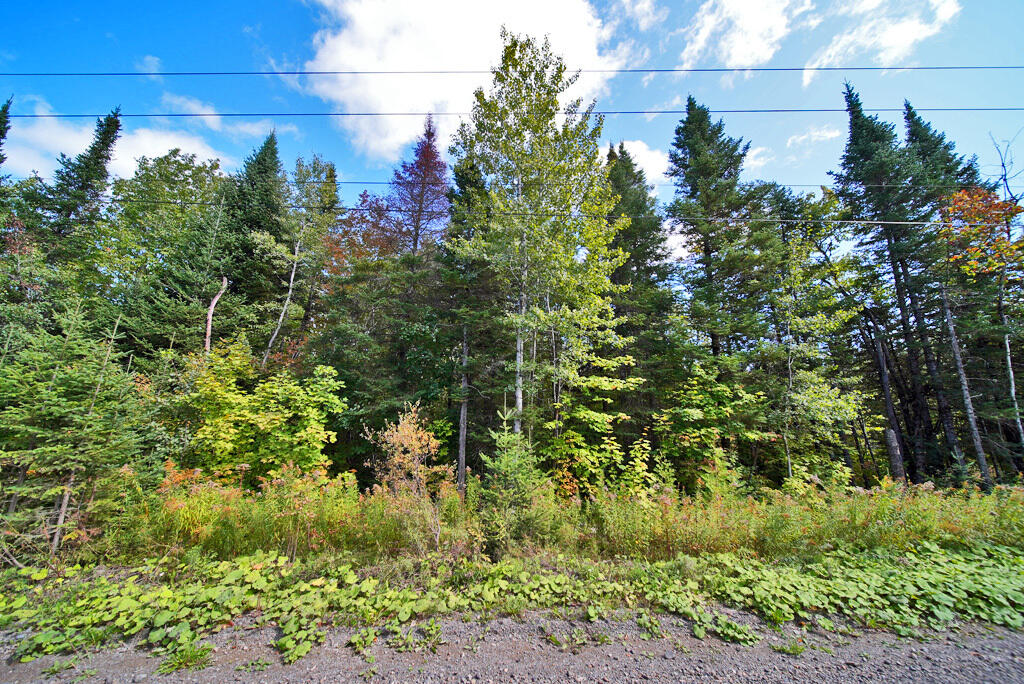 main property photo 60