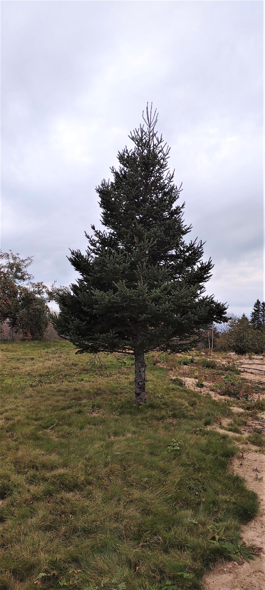 main property photo 8