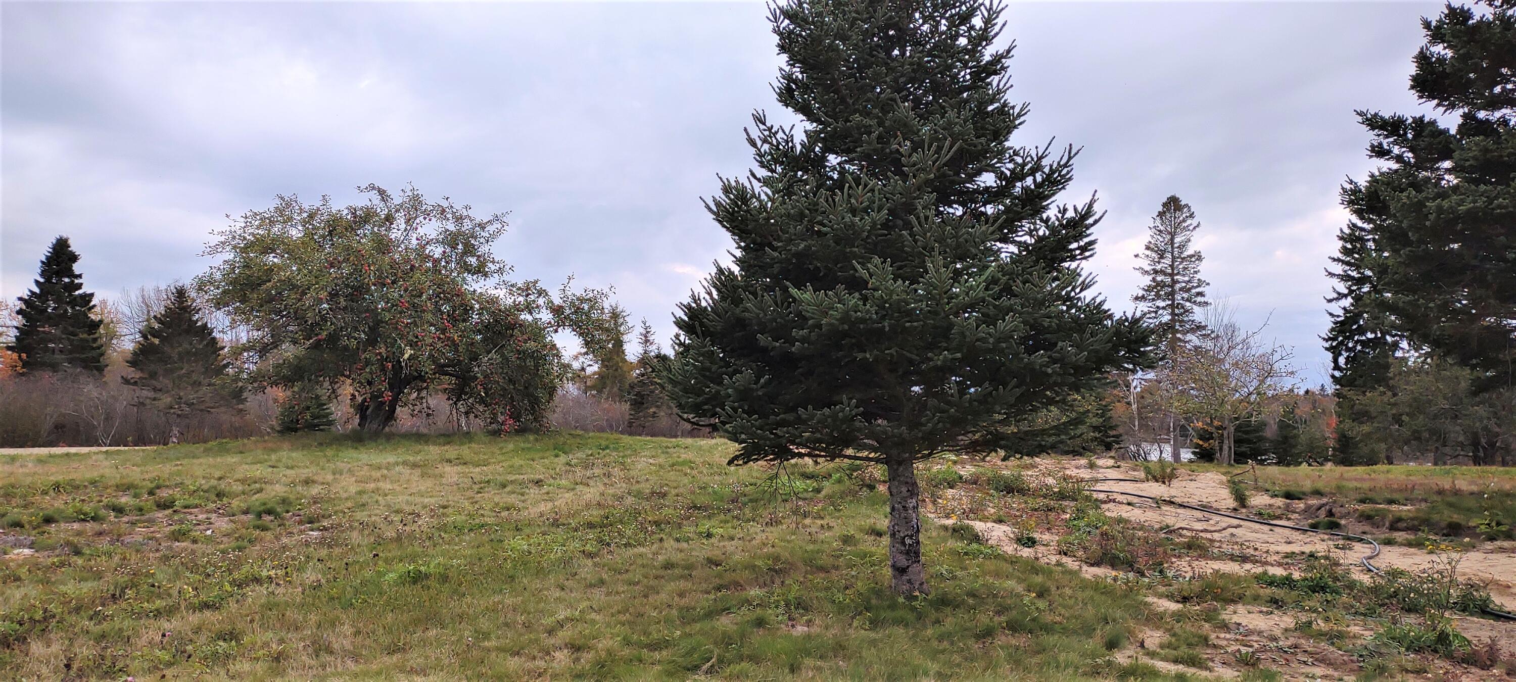 main property photo 9