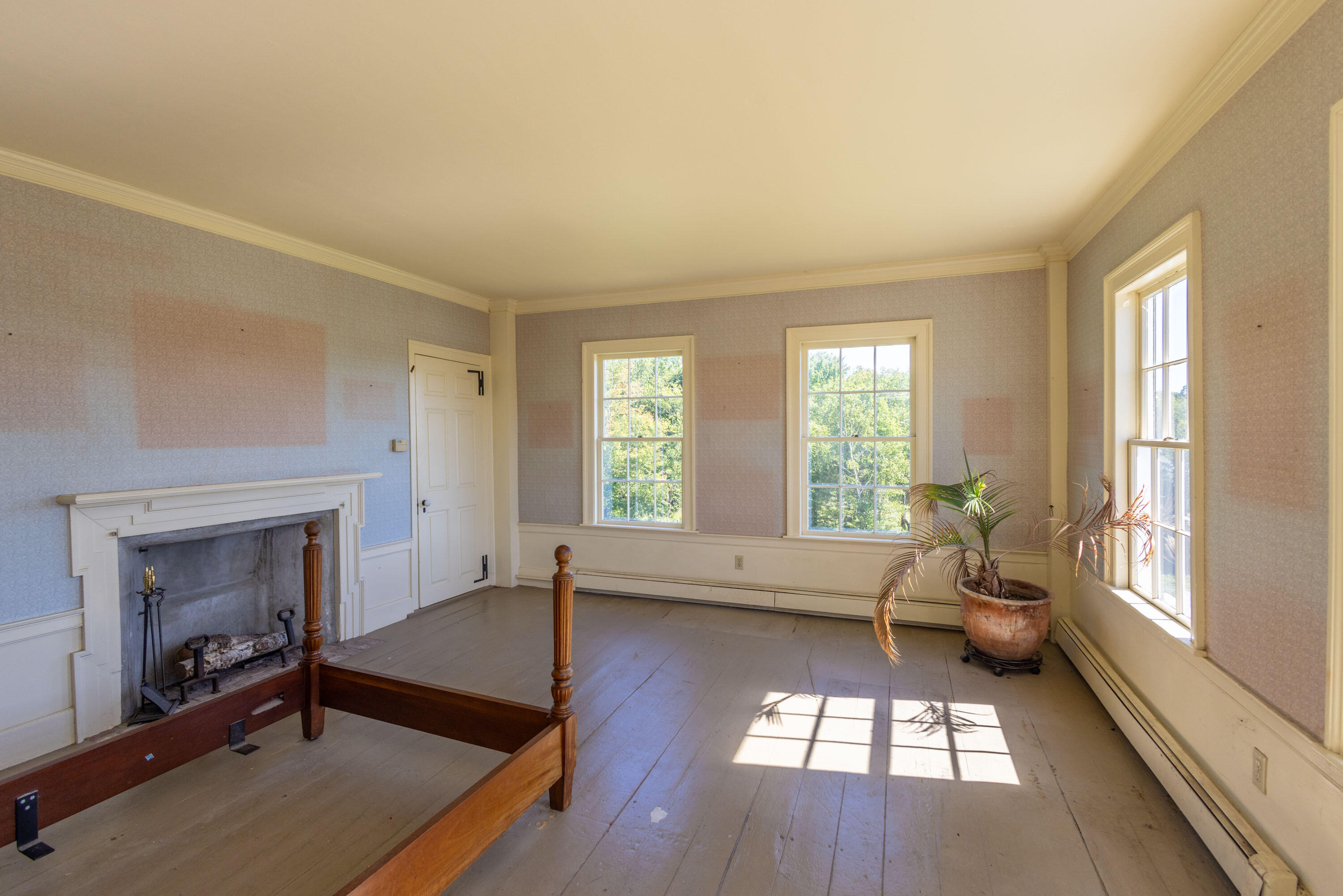 main property photo 41