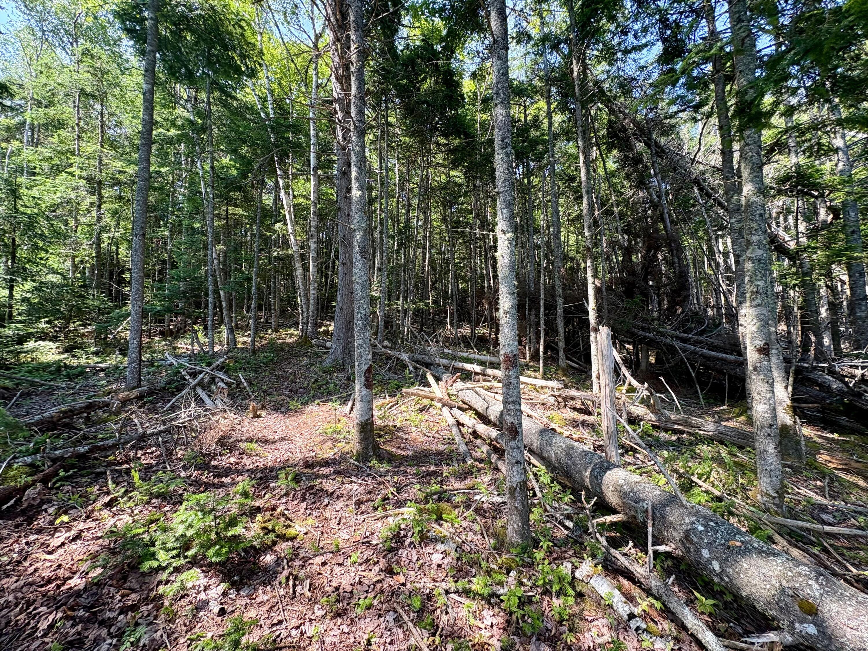 main property photo 10
