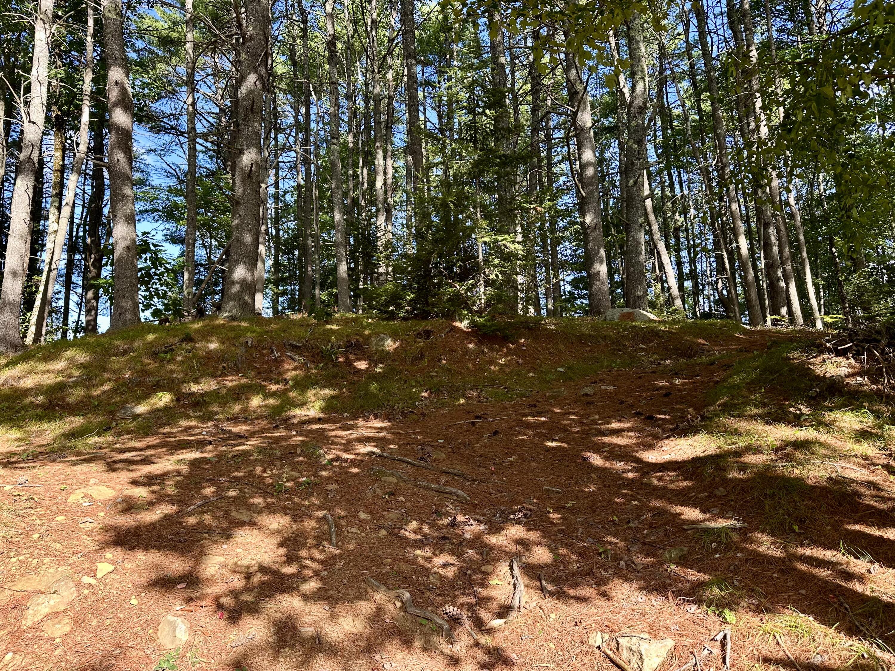 main property photo 32