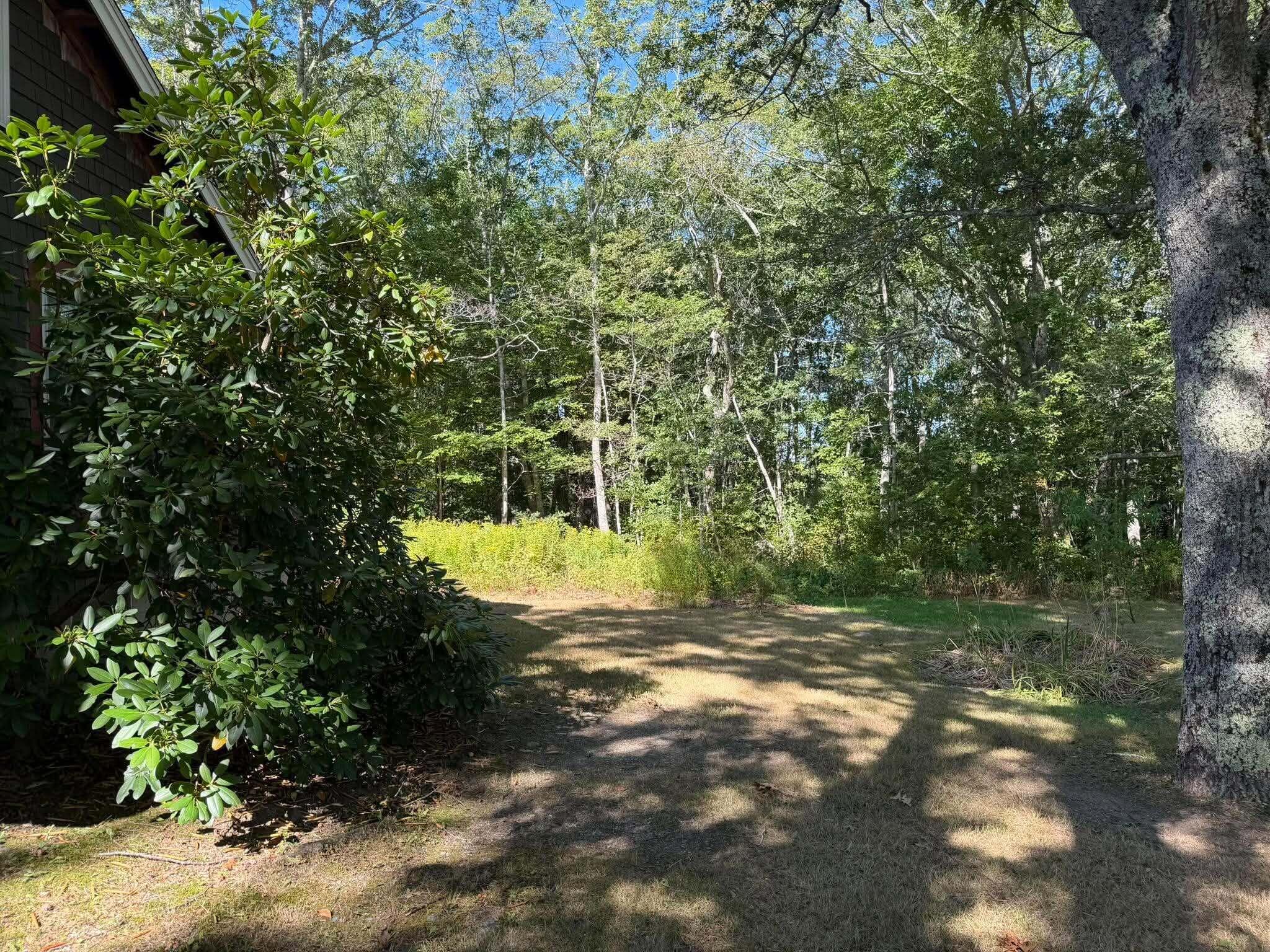 main property photo 67