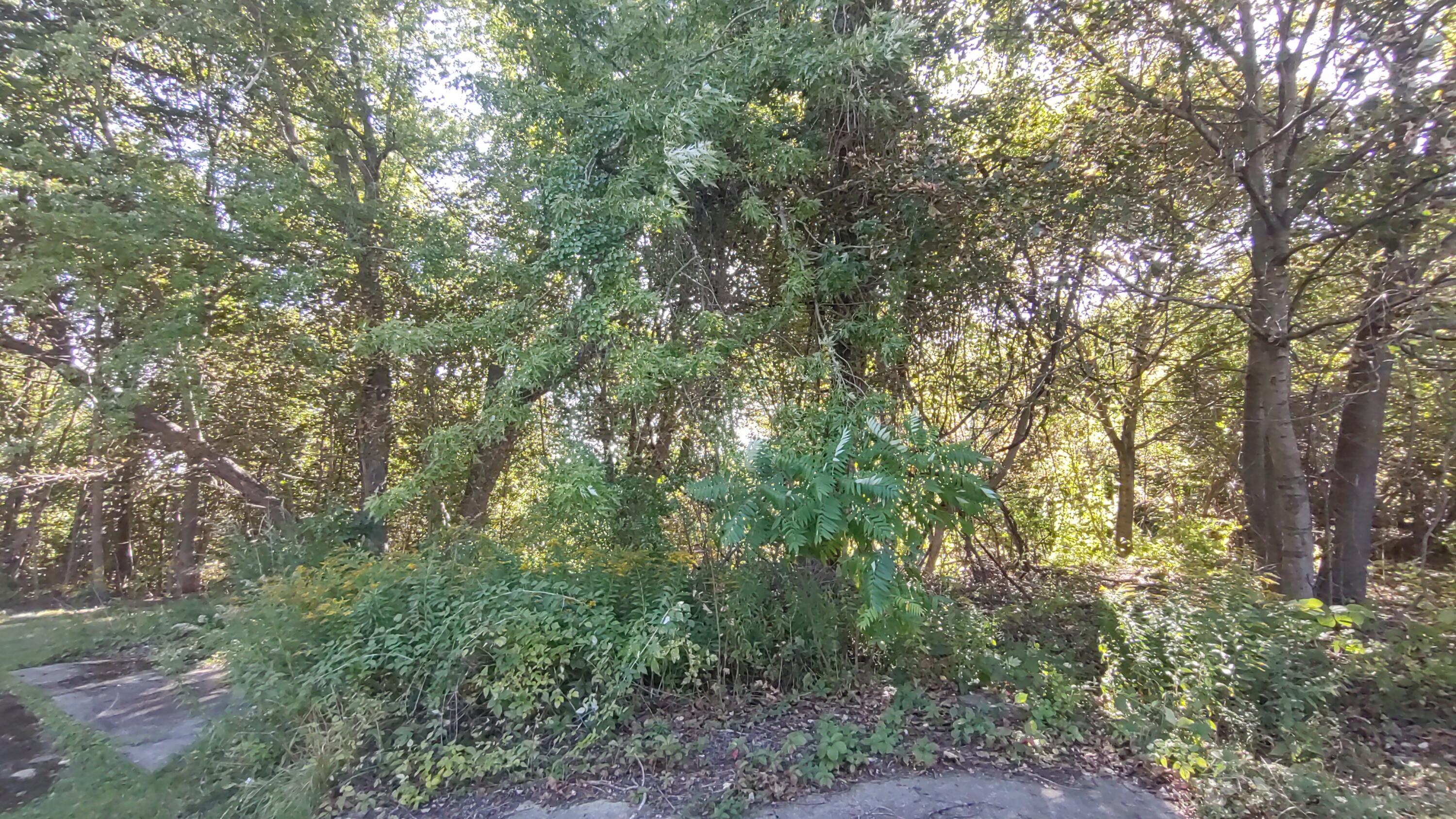 main property photo 11