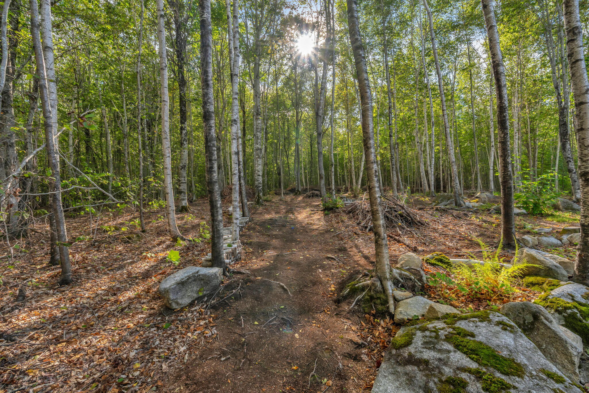main property photo 37