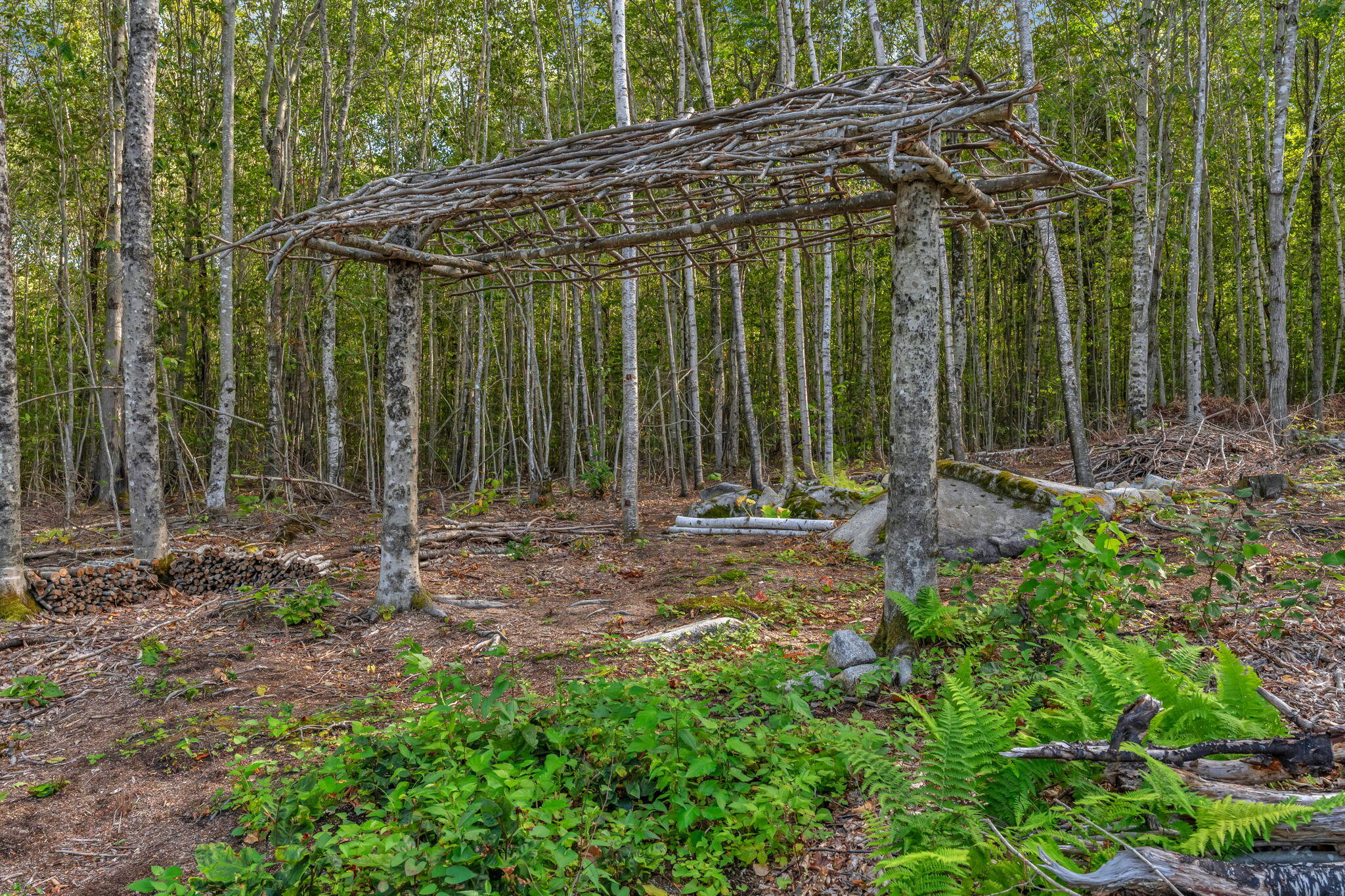main property photo 38