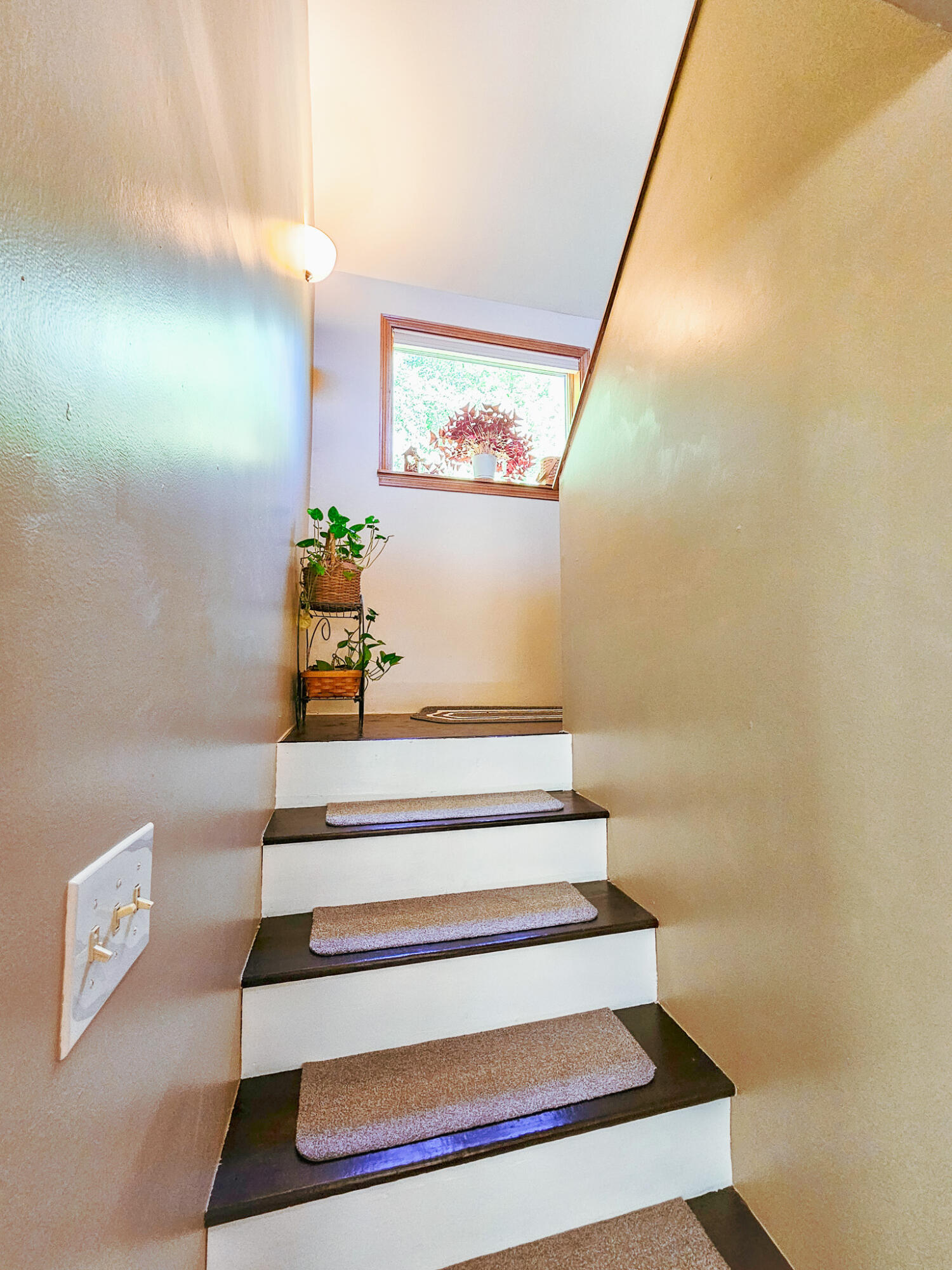 main property photo 71