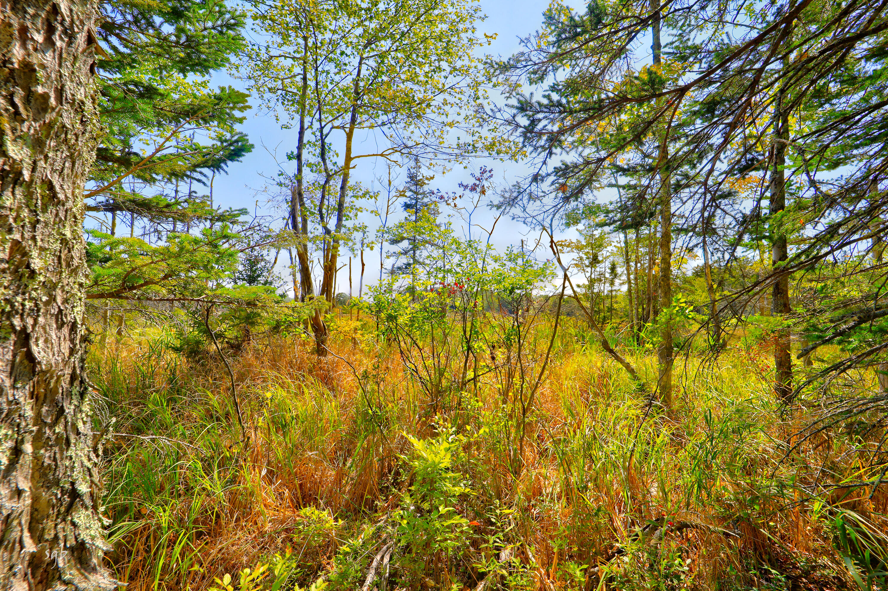 main property photo 40