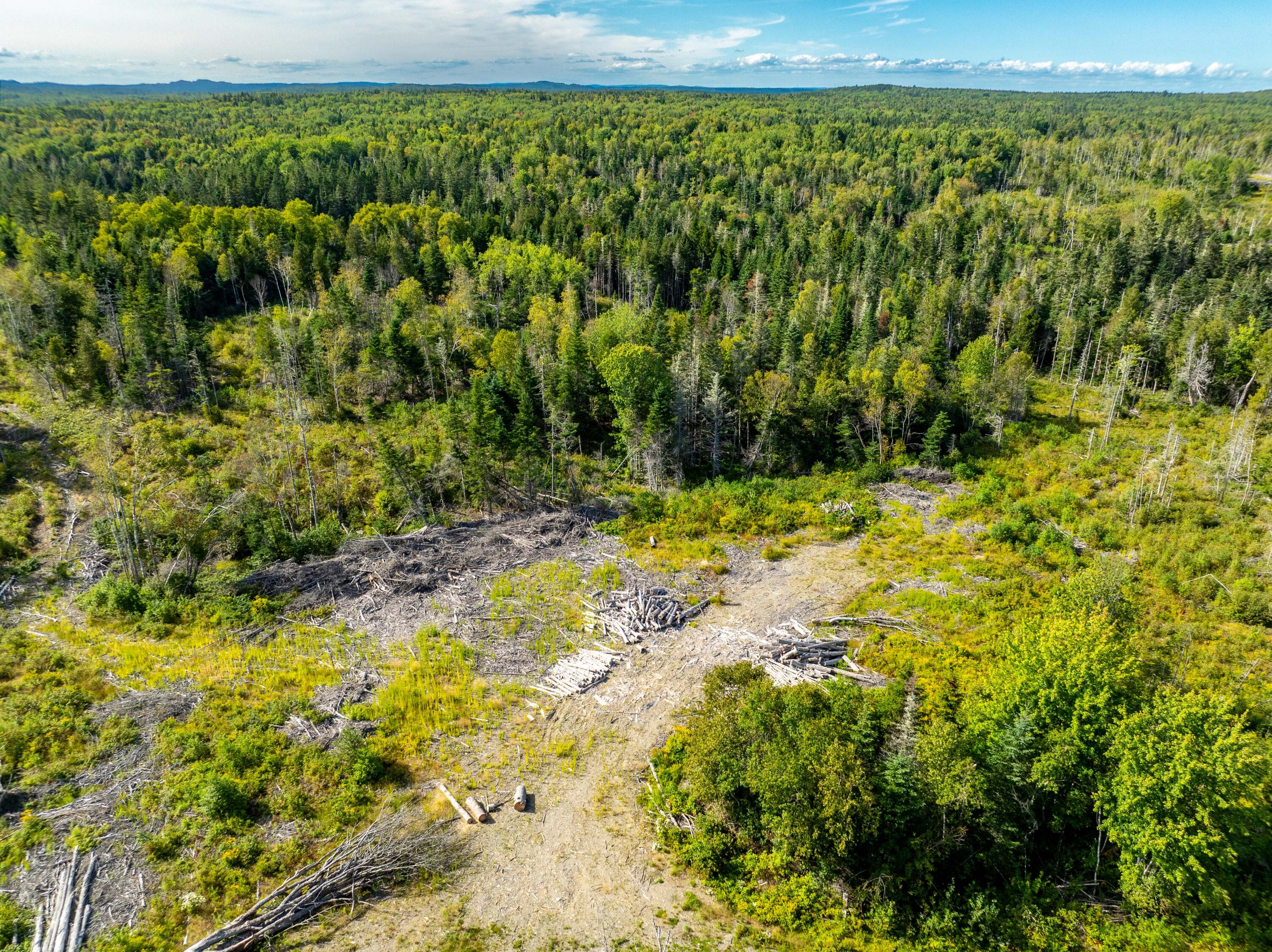main property photo 68