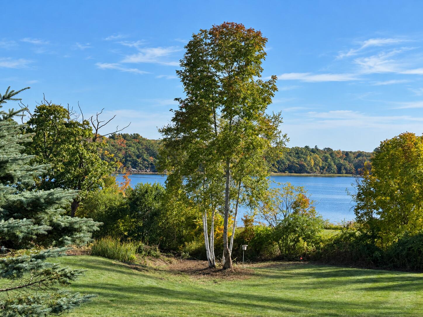 main property photo 37