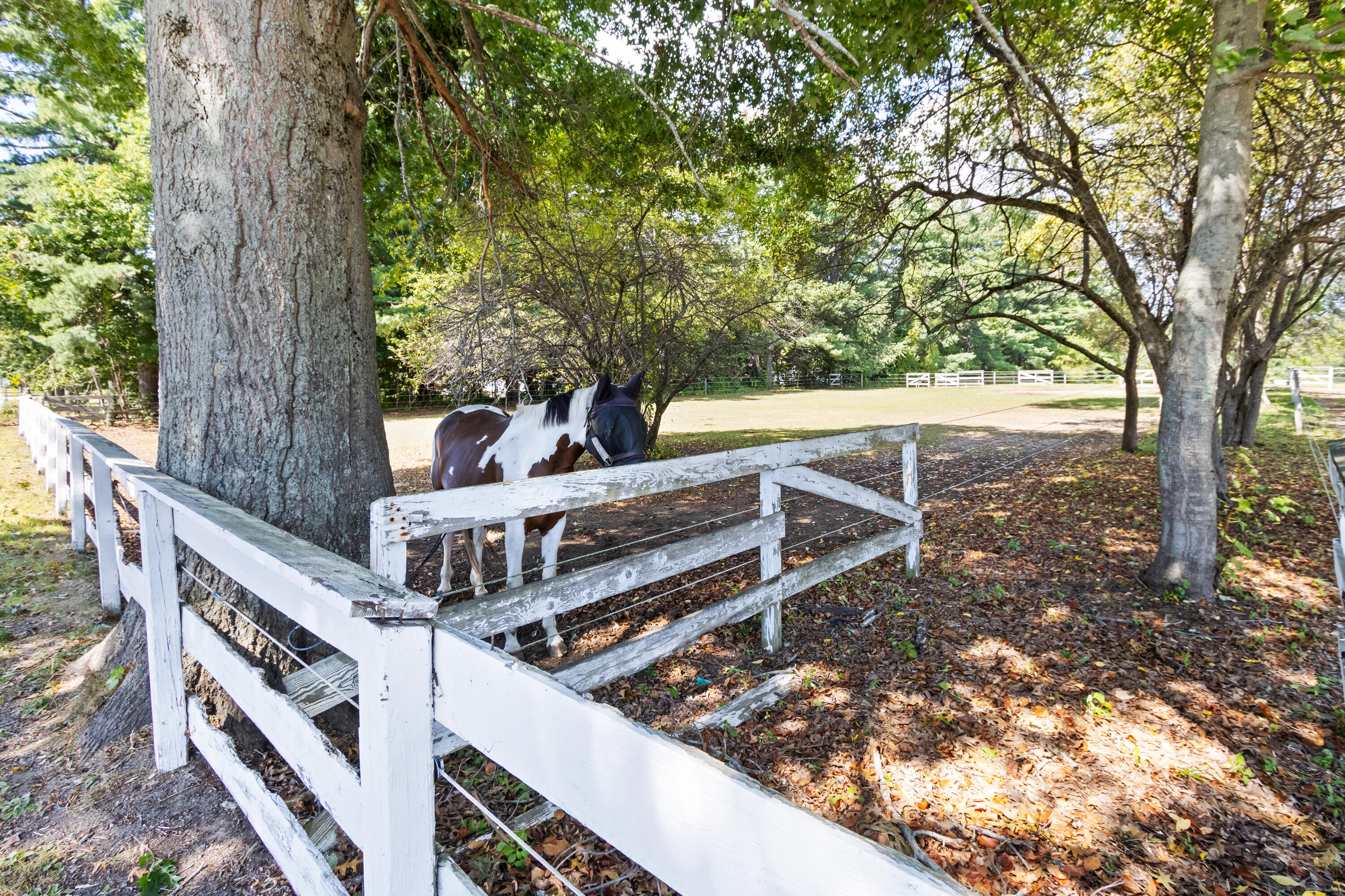main property photo 42