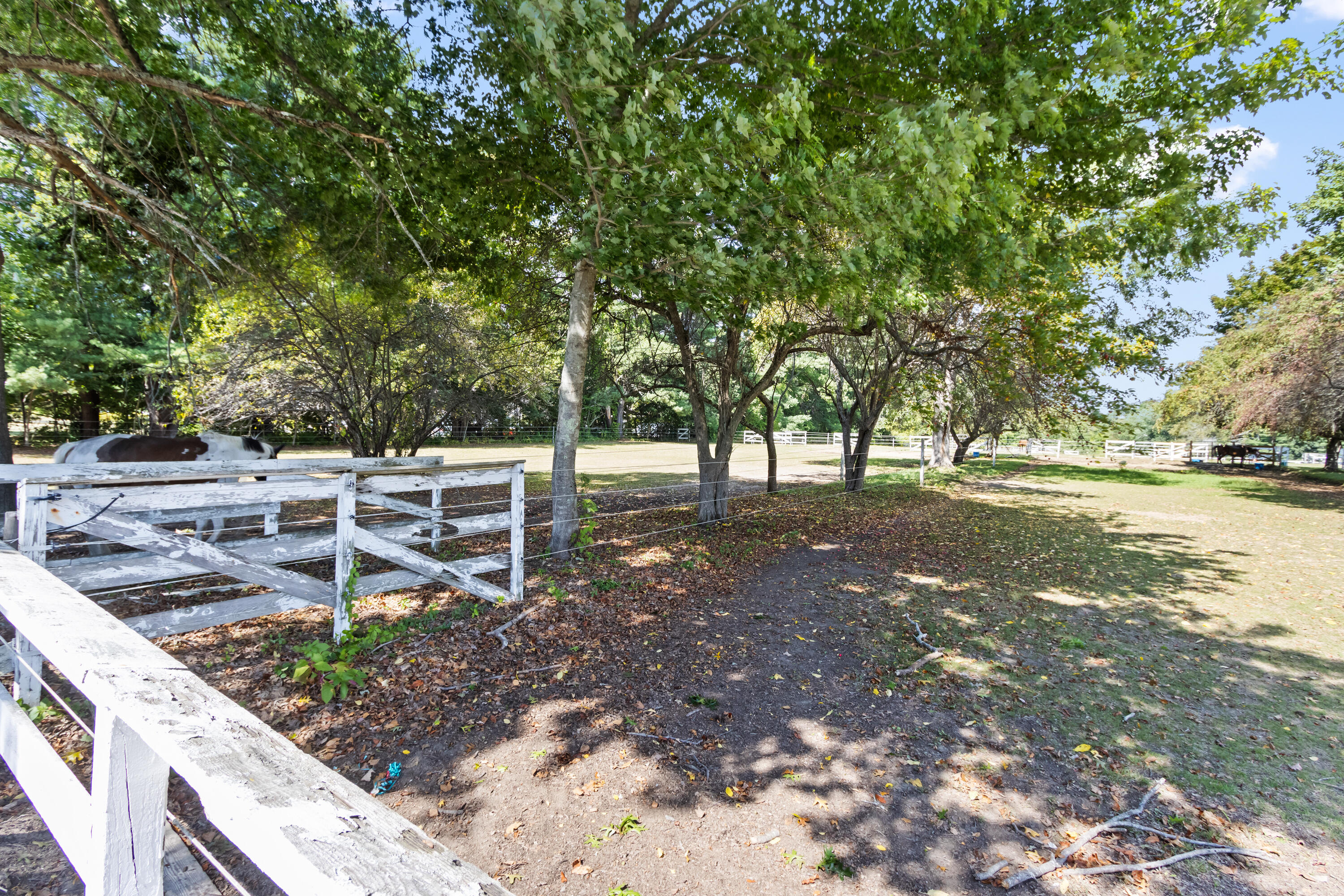 main property photo 43