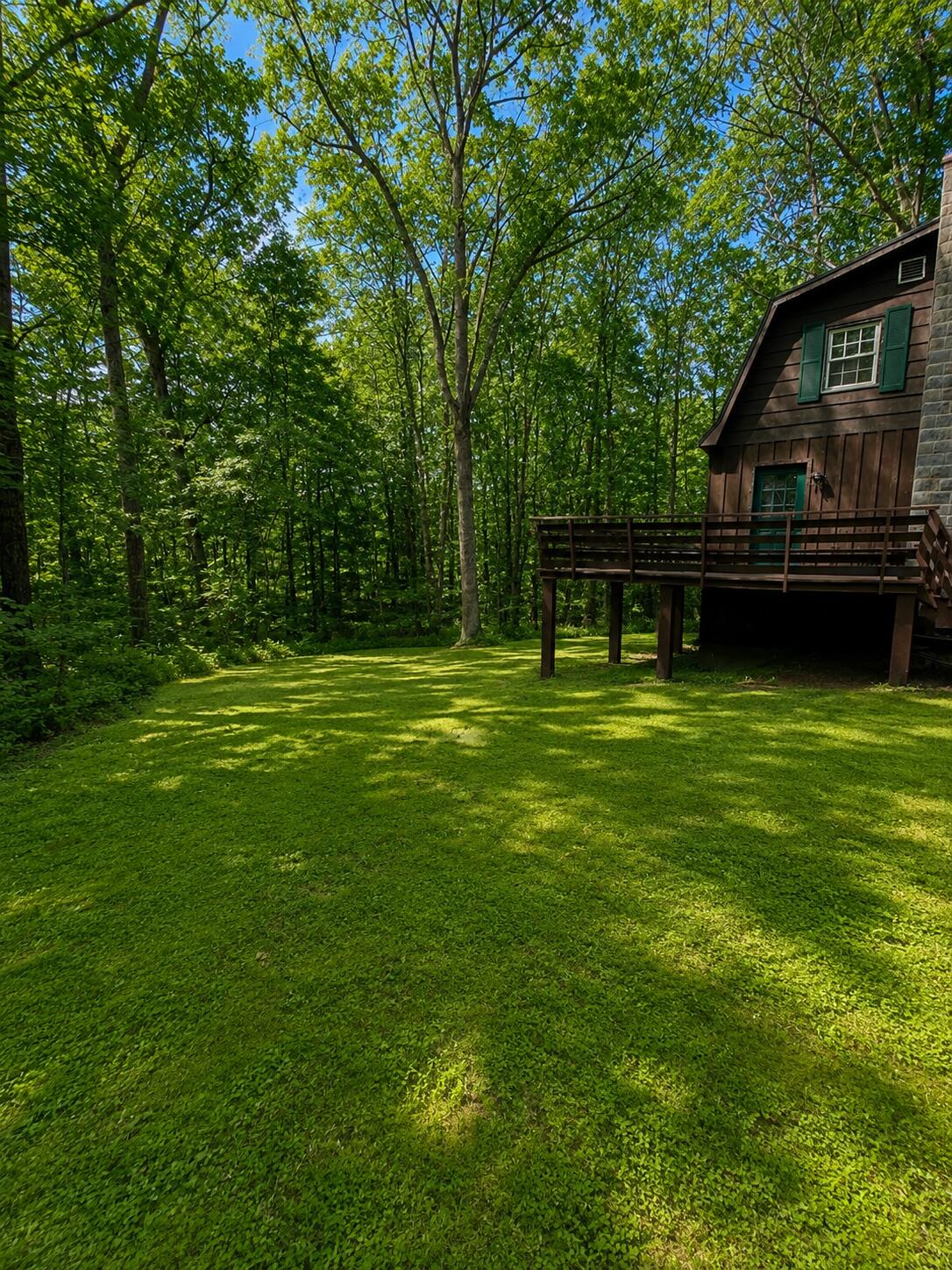 main property photo 54