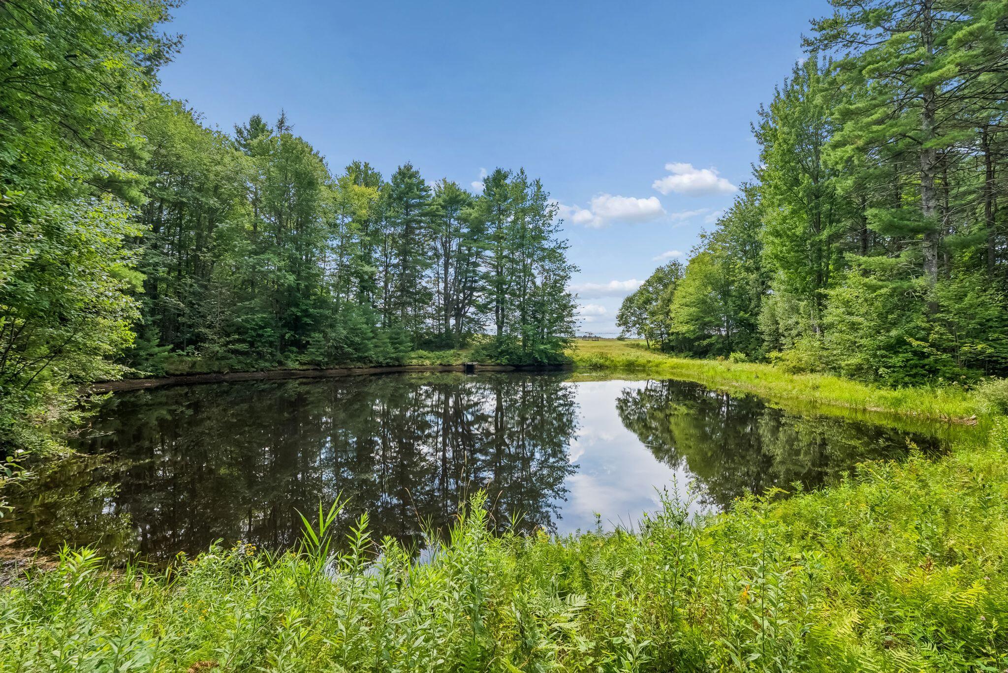 main property photo 89