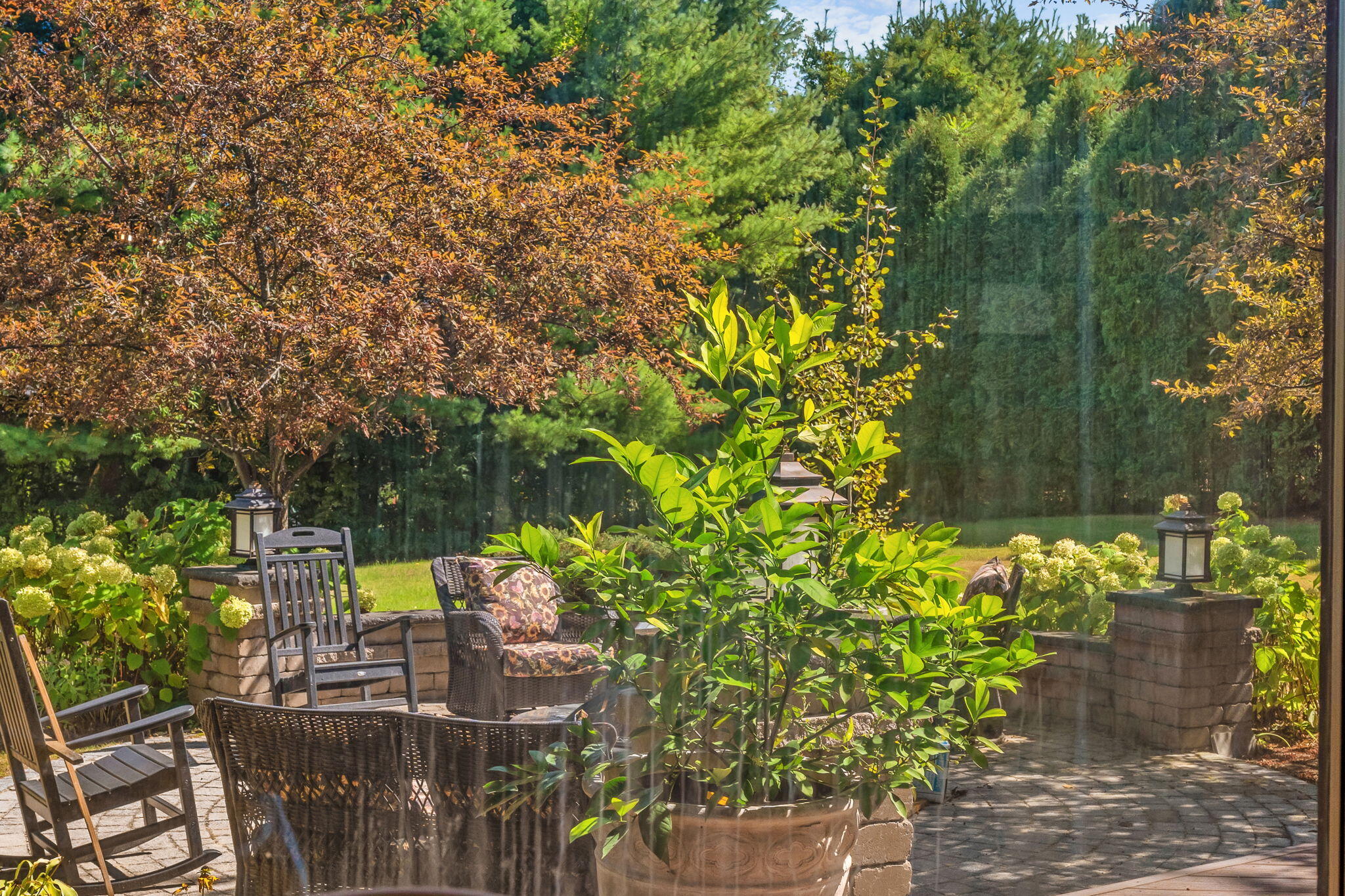 main property photo 116
