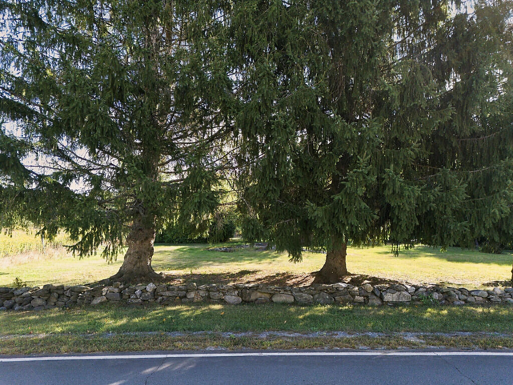 main property photo 62