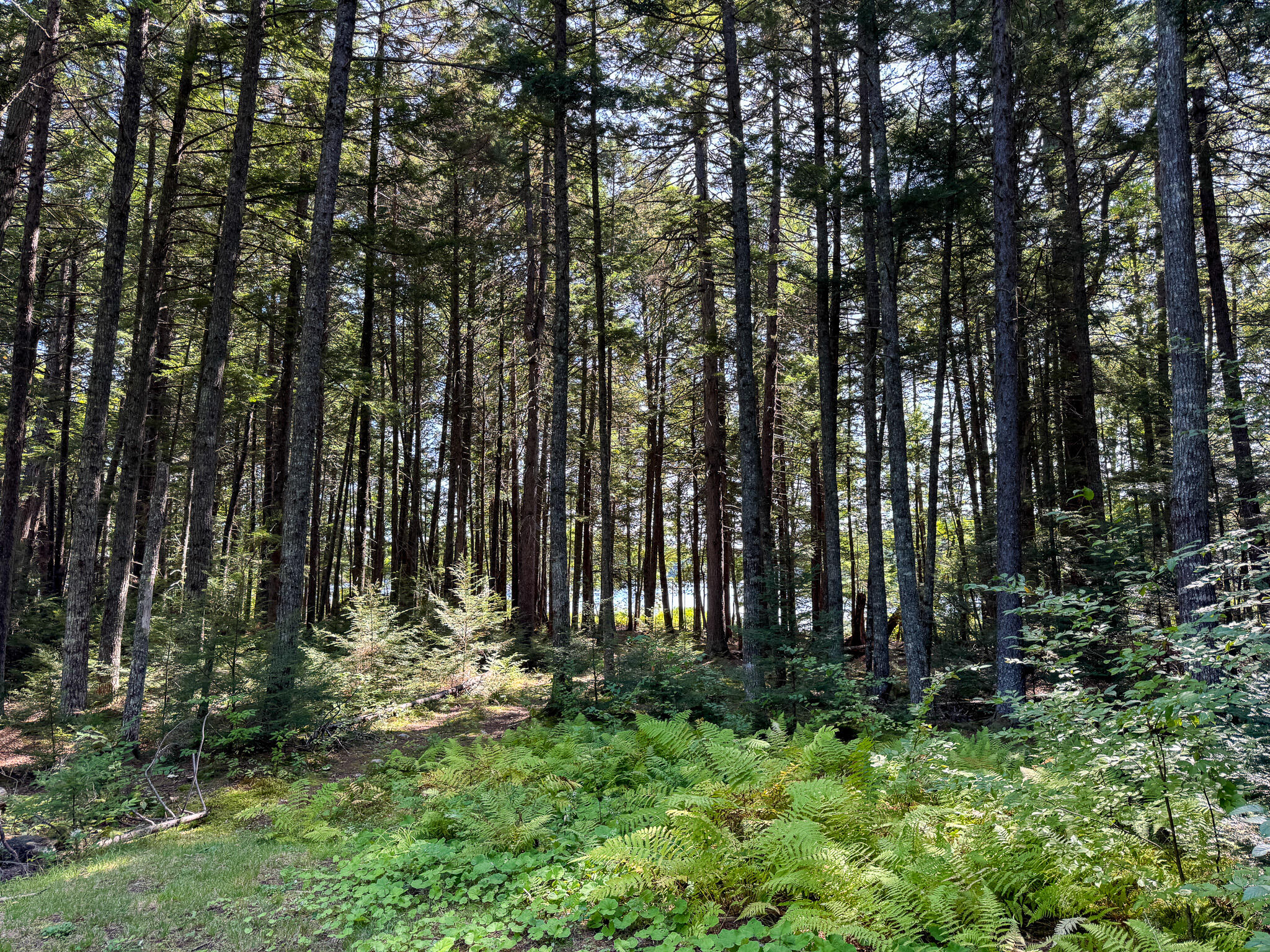 main property photo 15