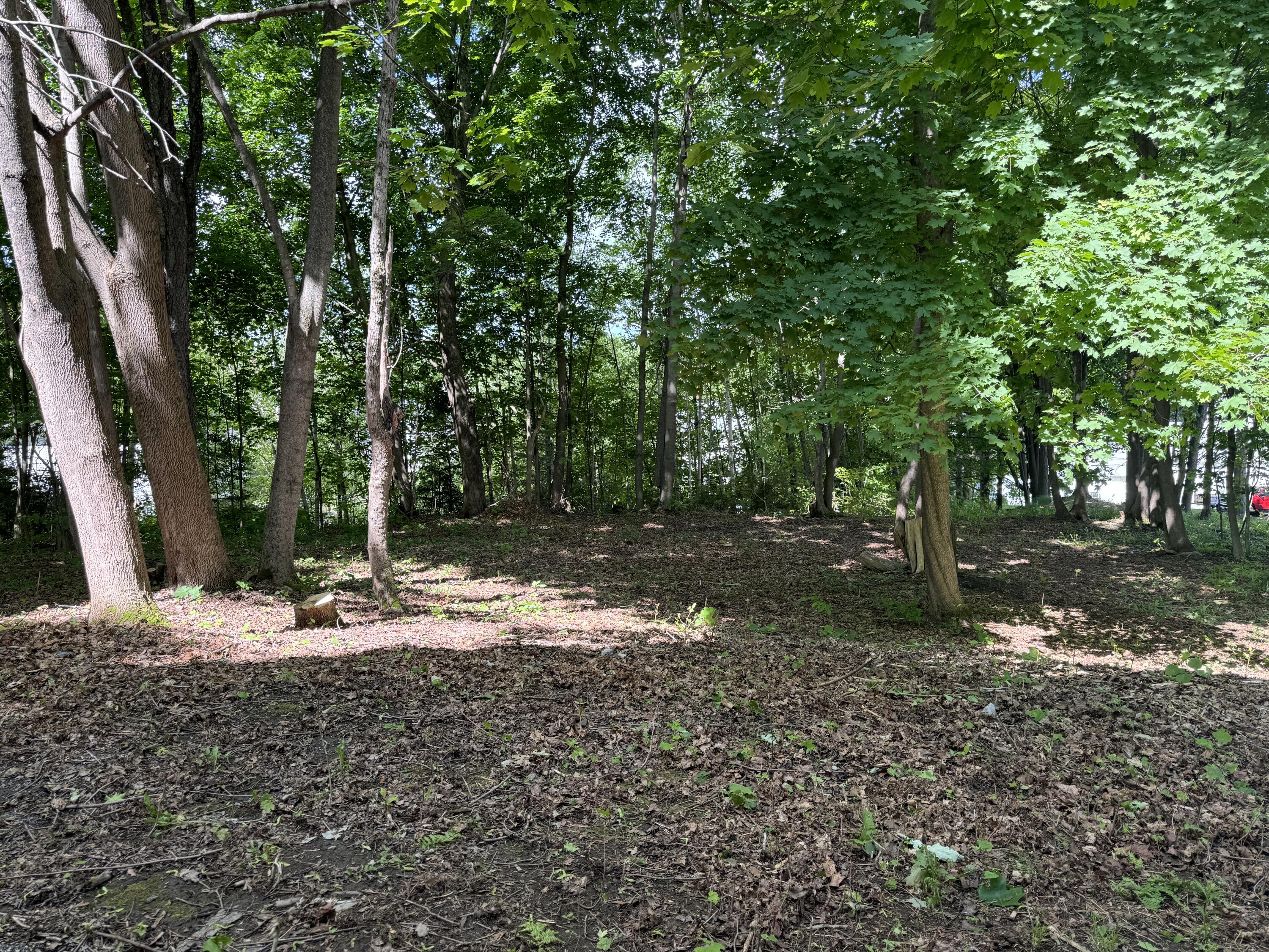 main property photo 47