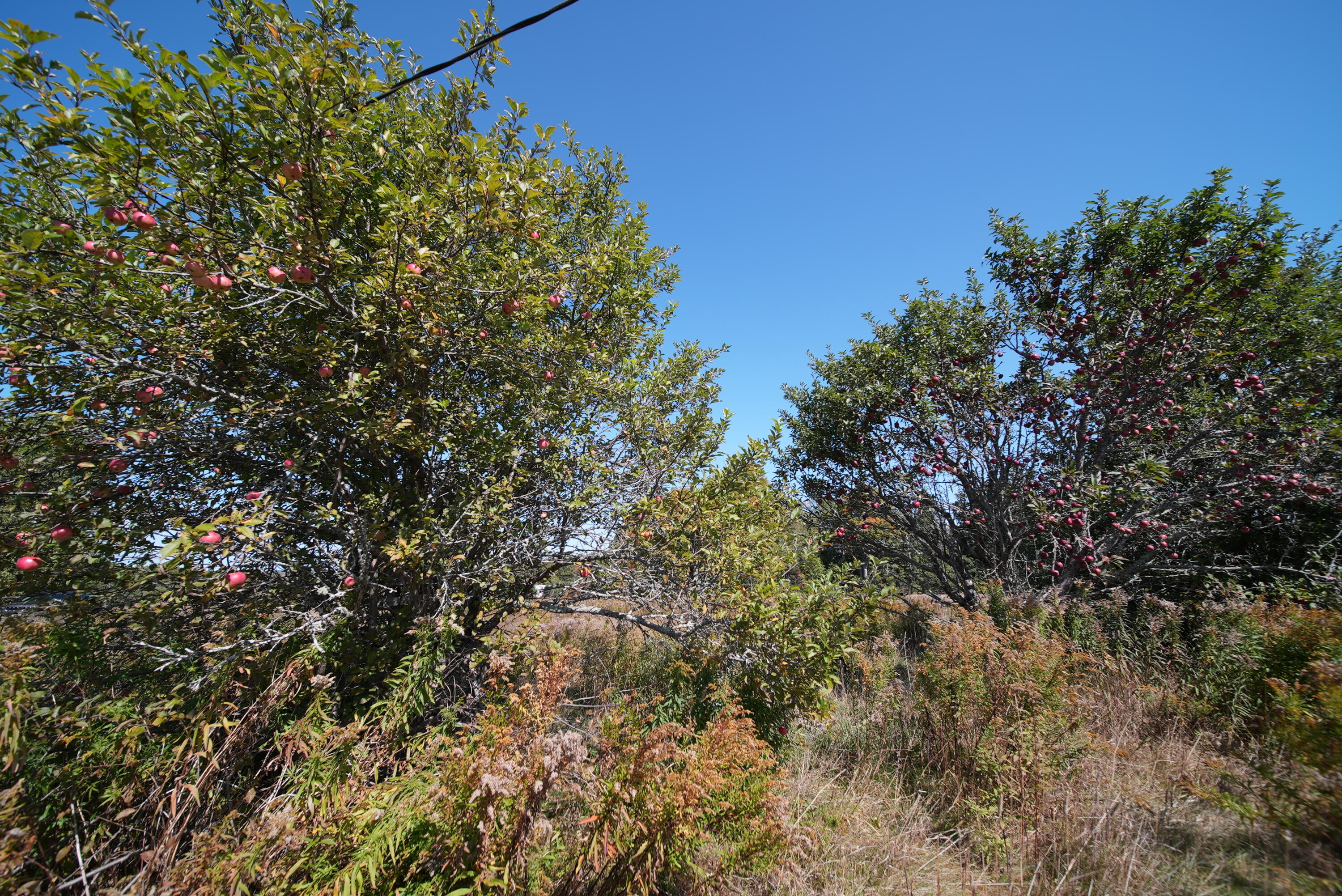 main property photo 34