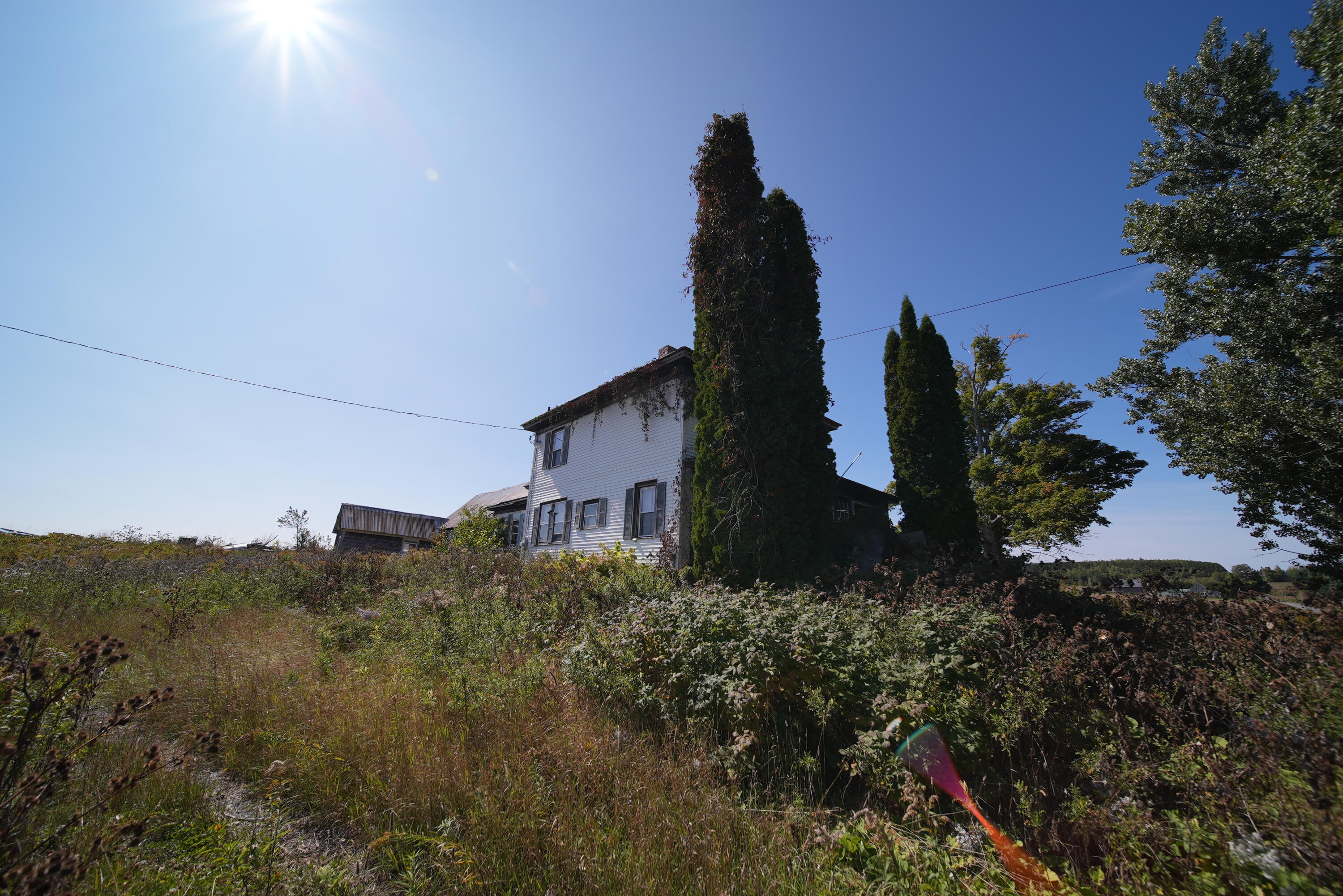main property photo 59