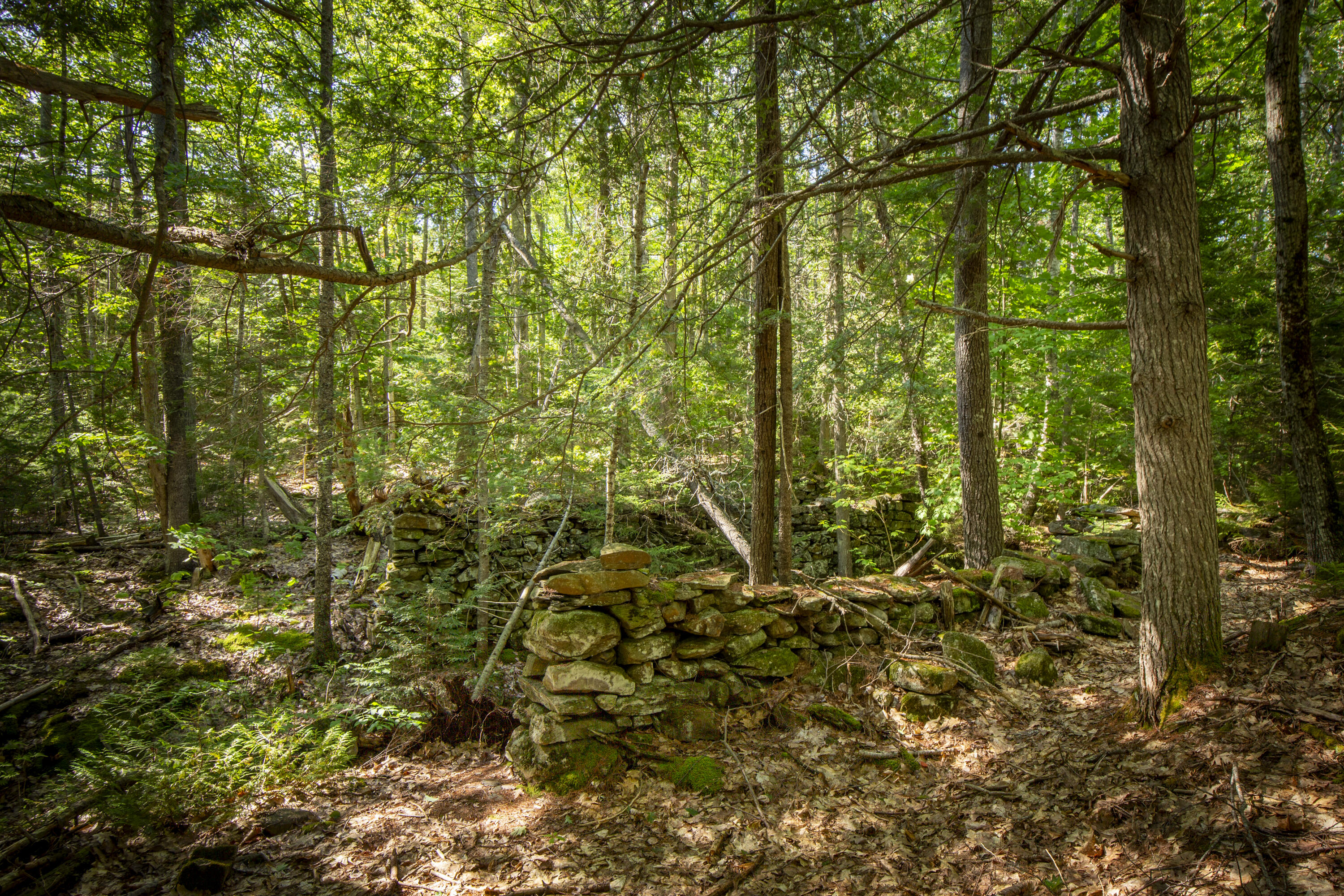 main property photo 16