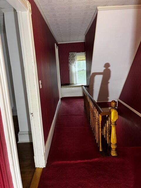 main property photo 29