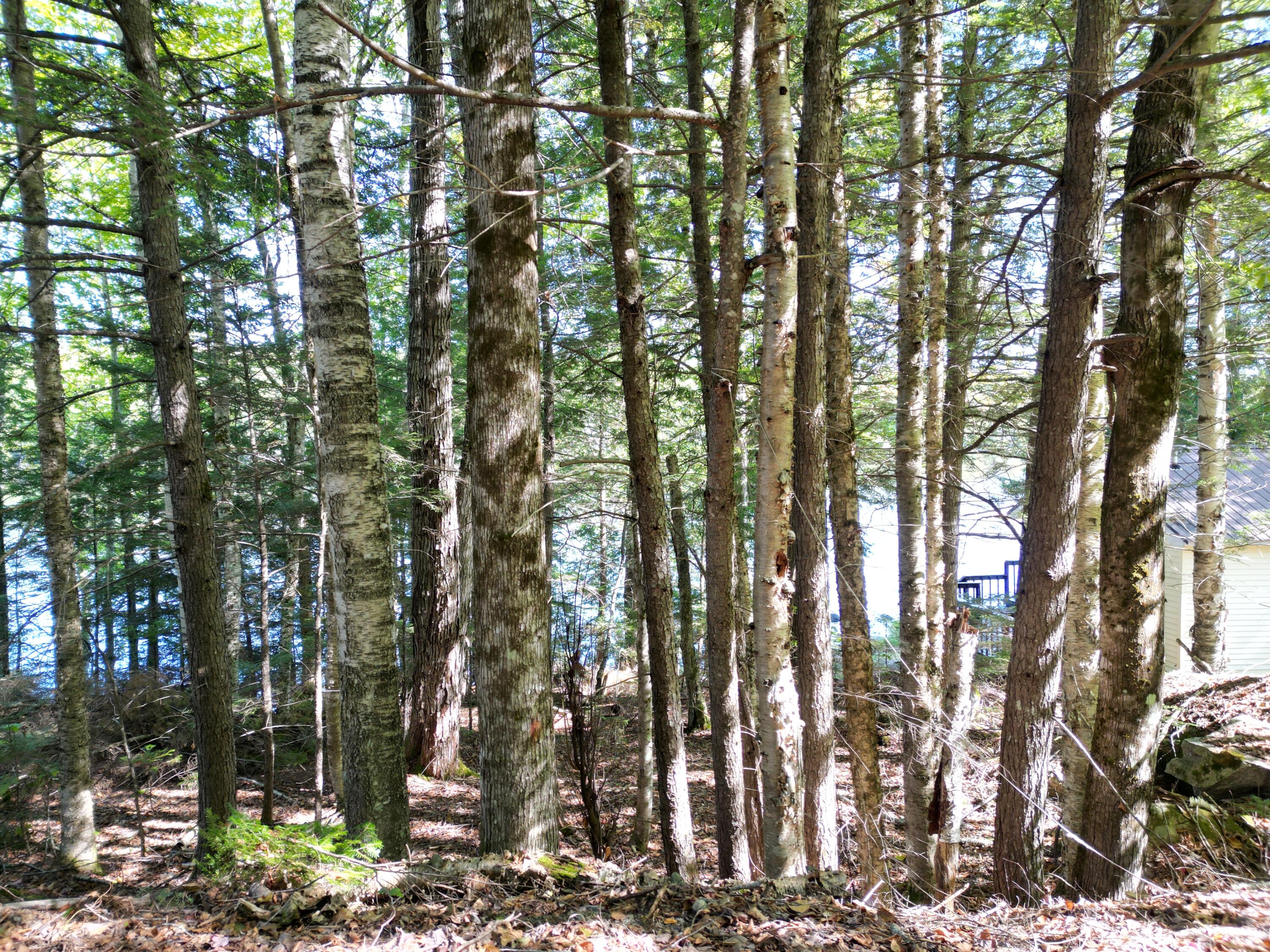 main property photo 28