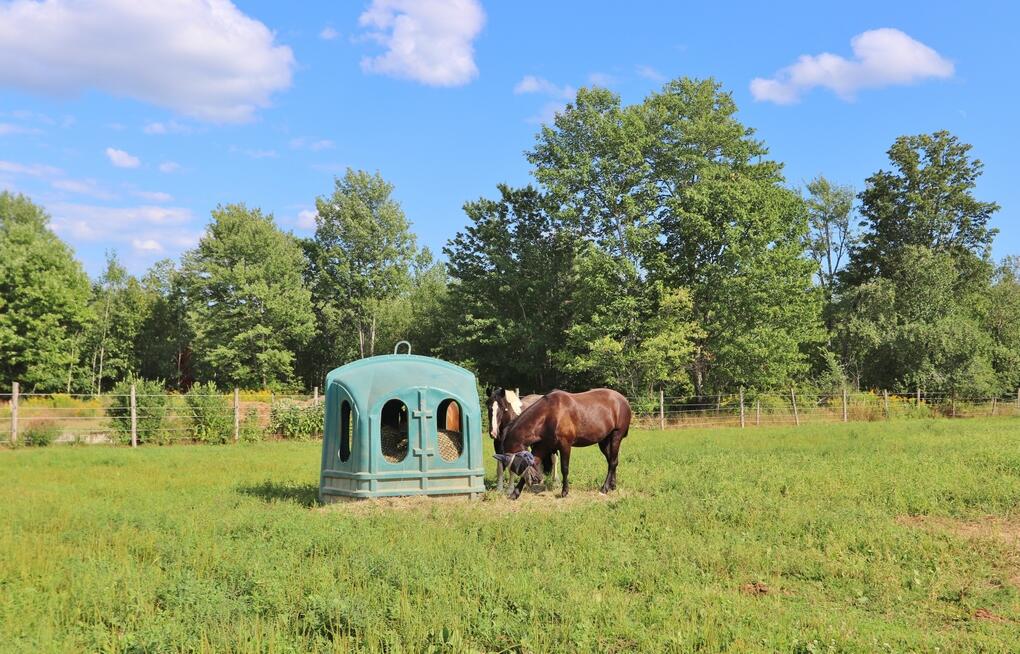 main property photo 71