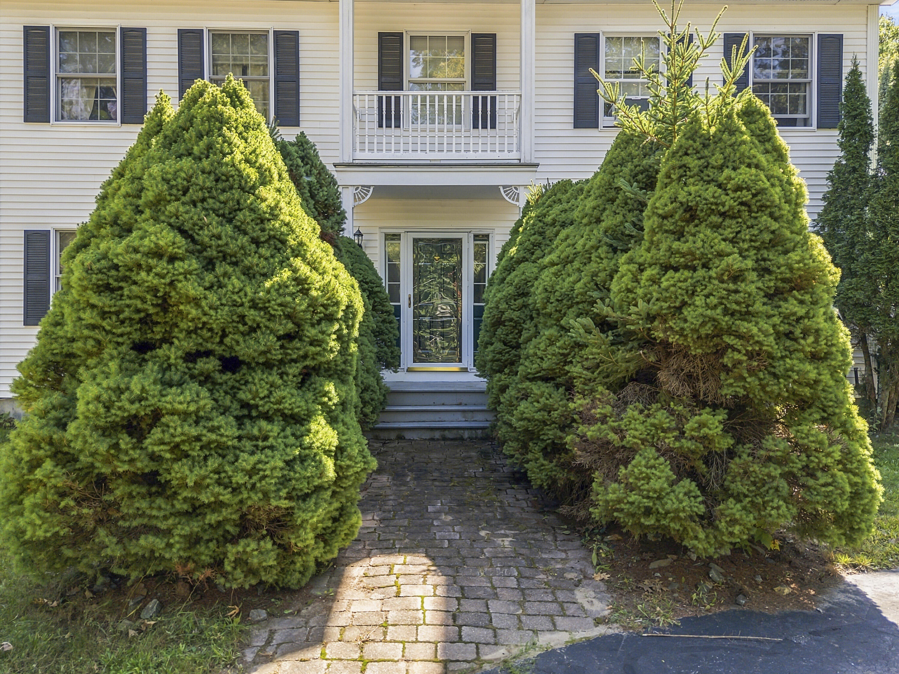 main property photo 48