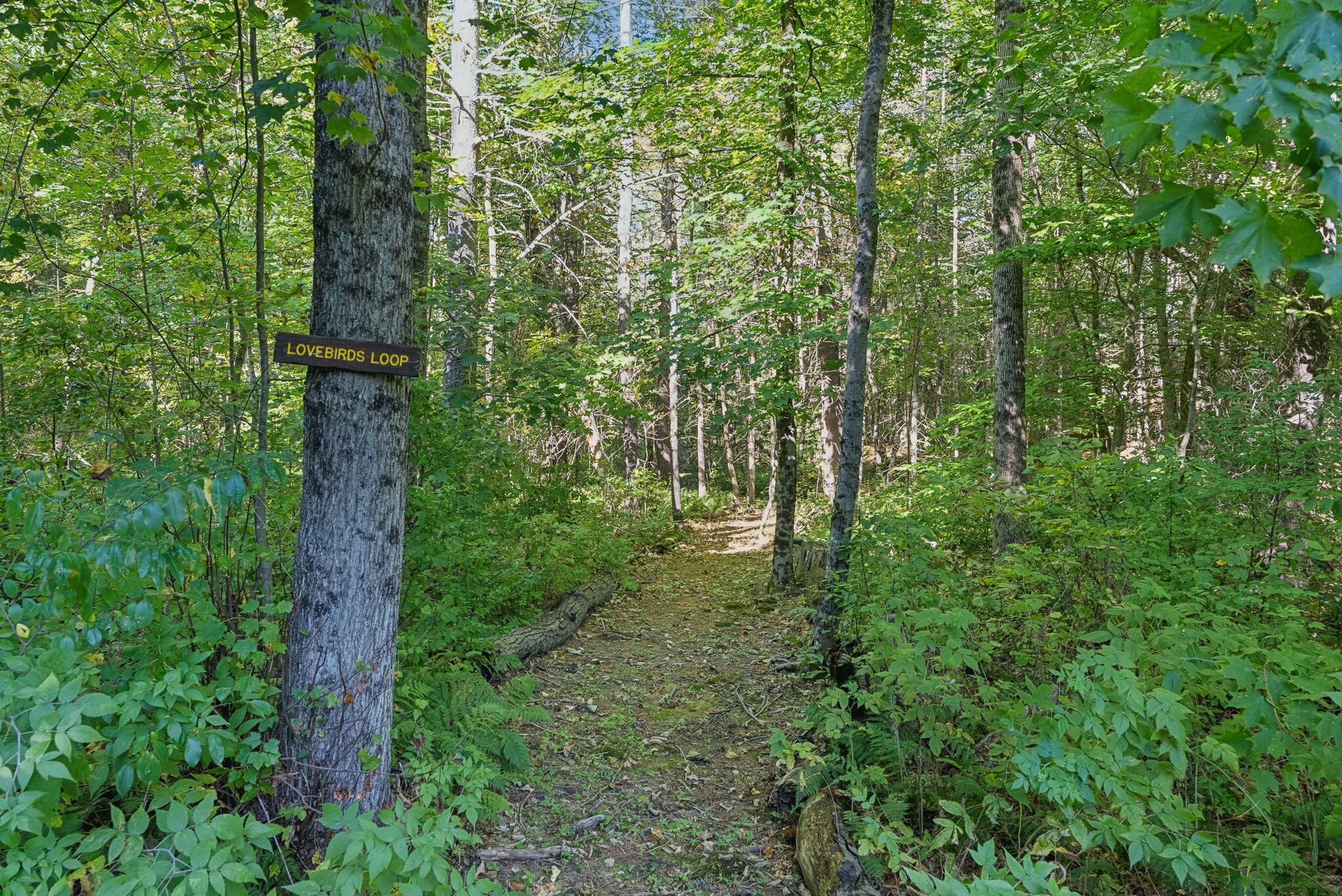 main property photo 48