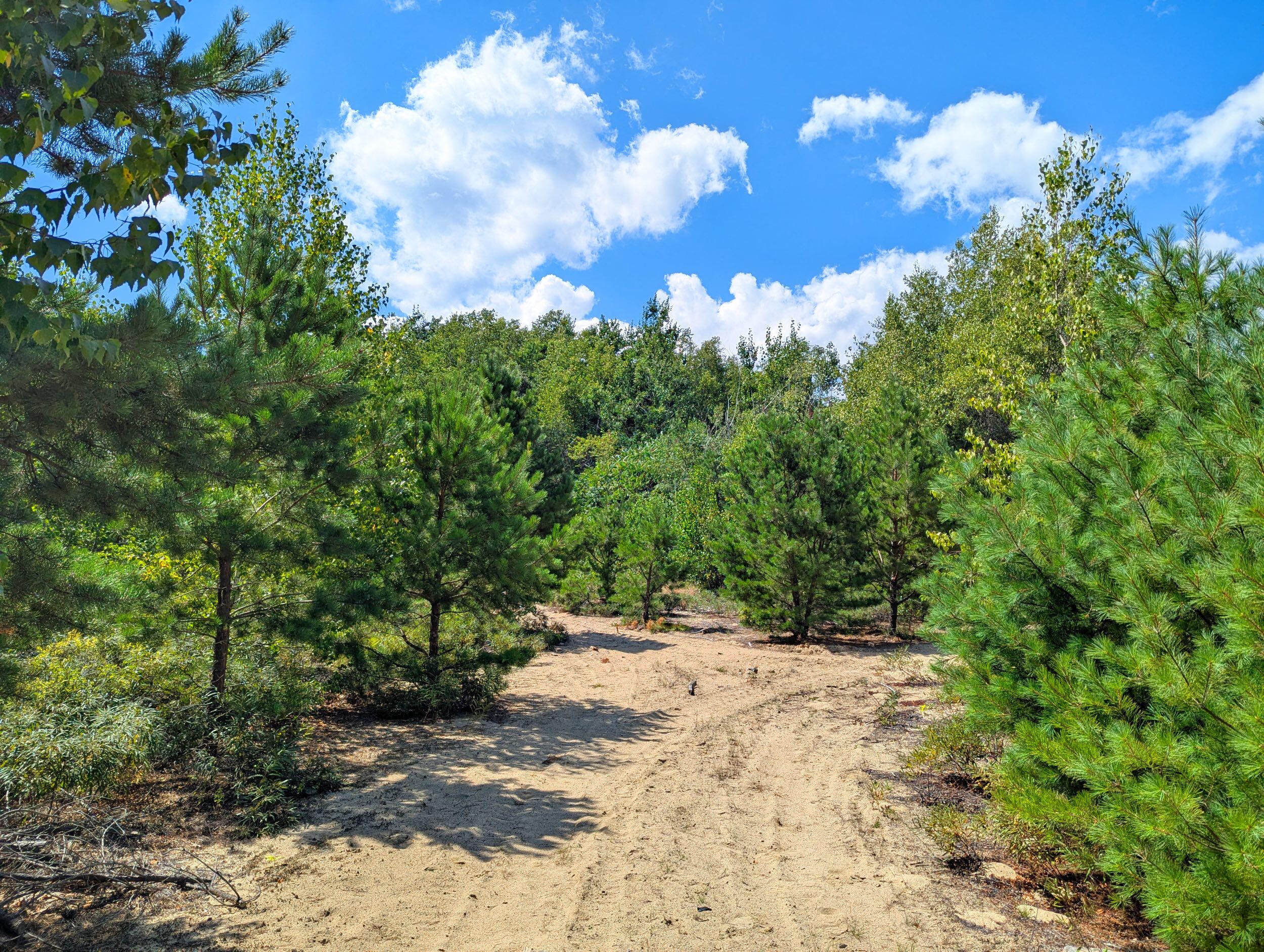 main property photo 13