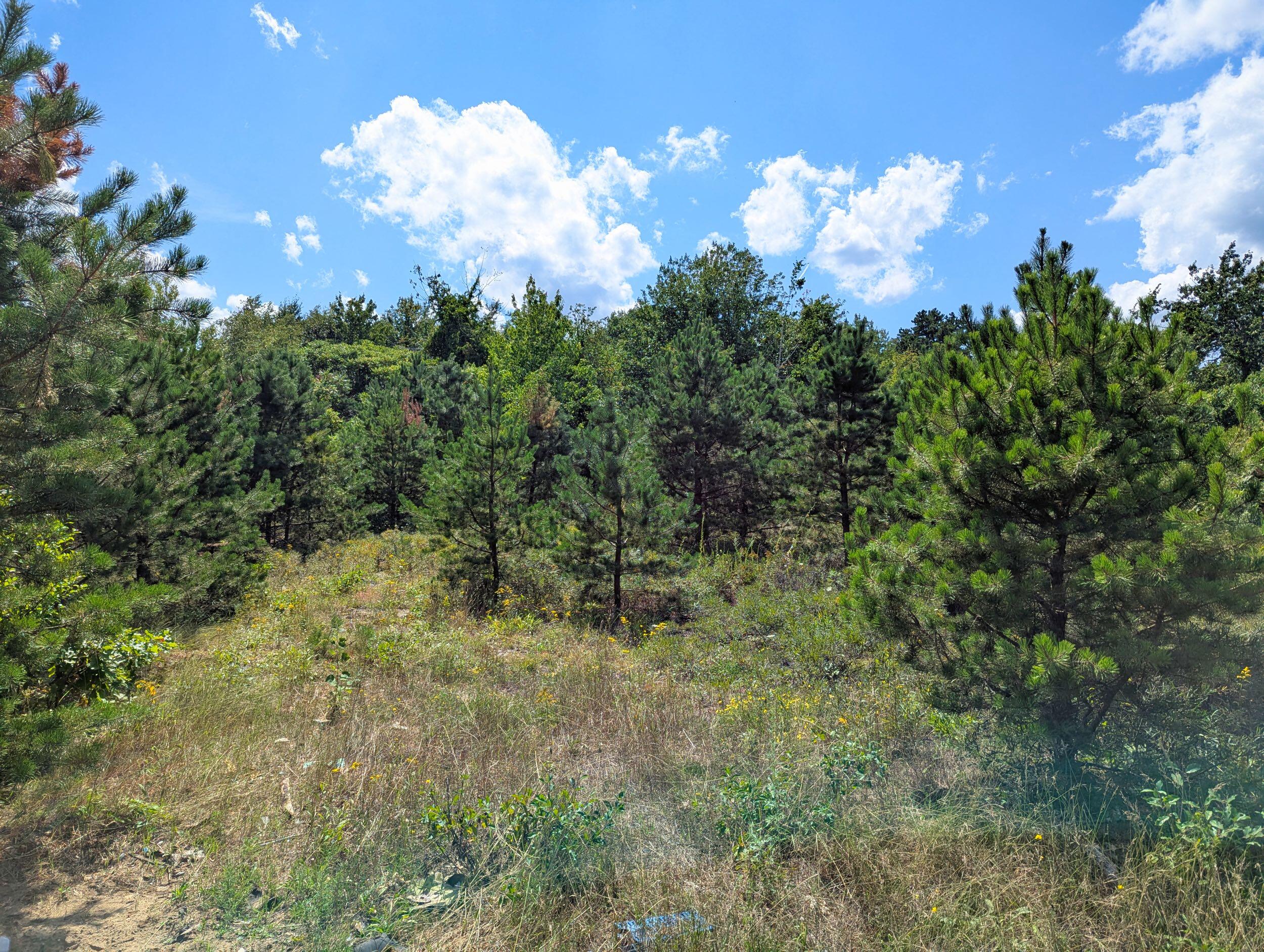 main property photo 17