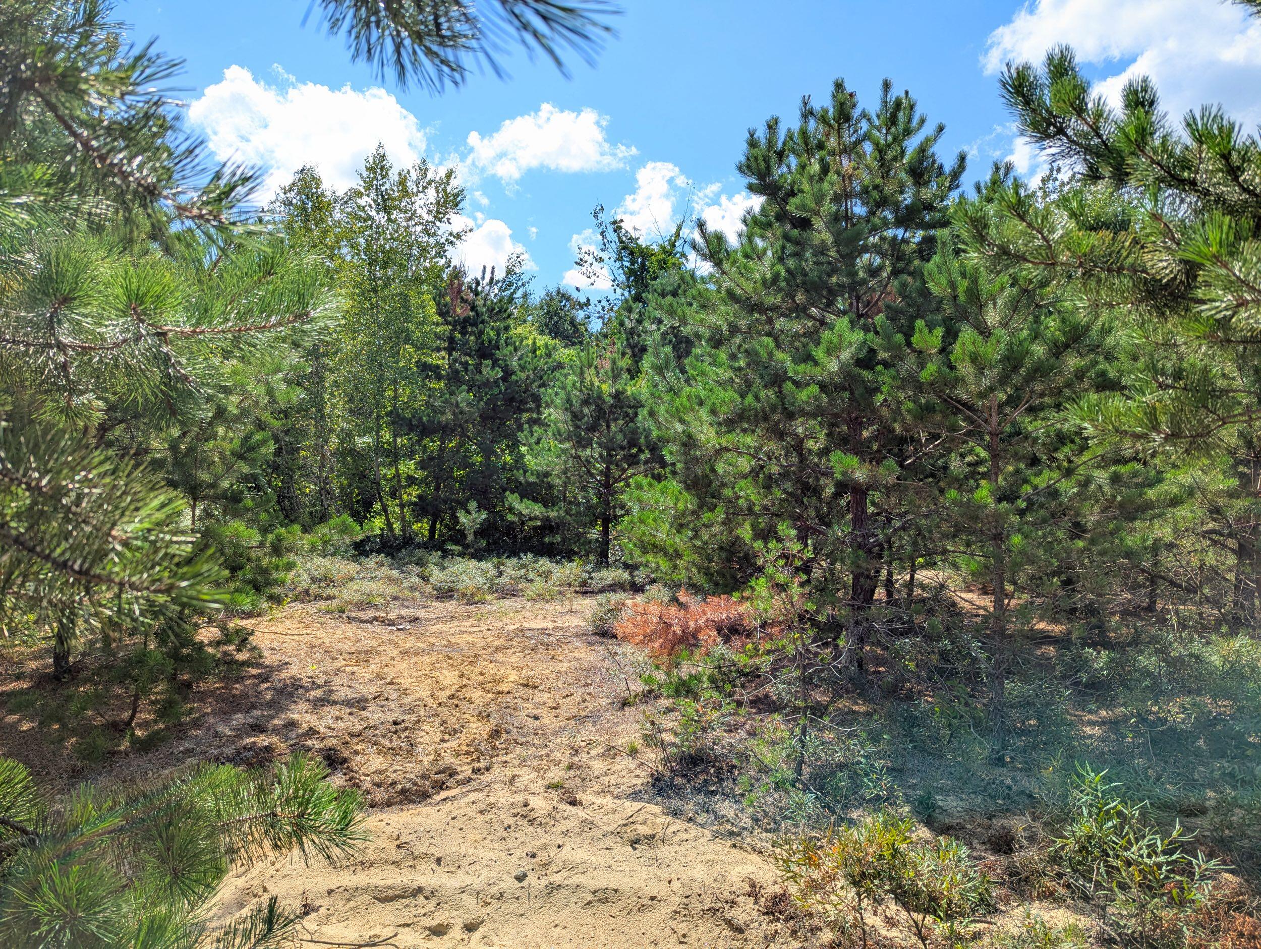 main property photo 18