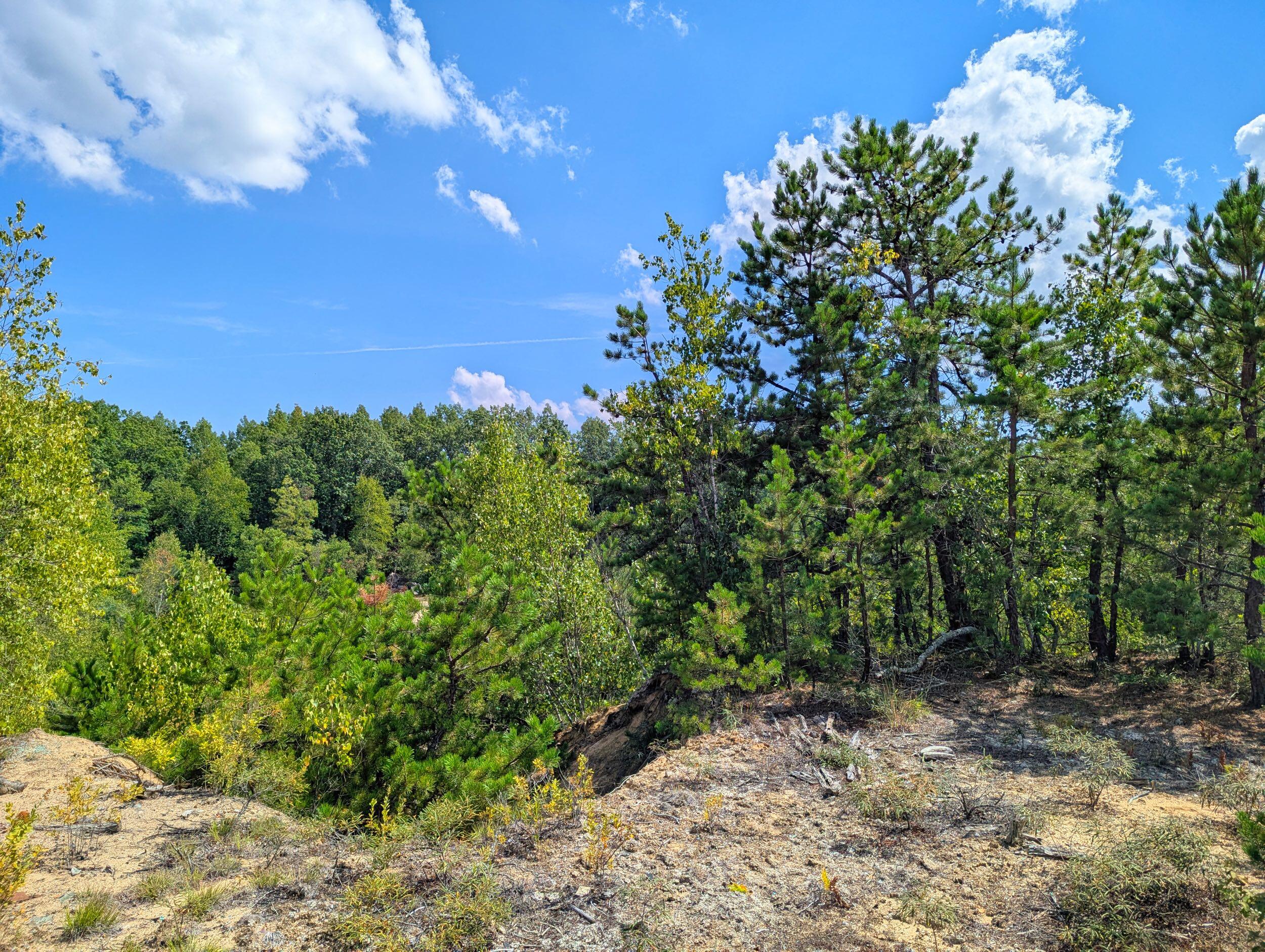main property photo 20