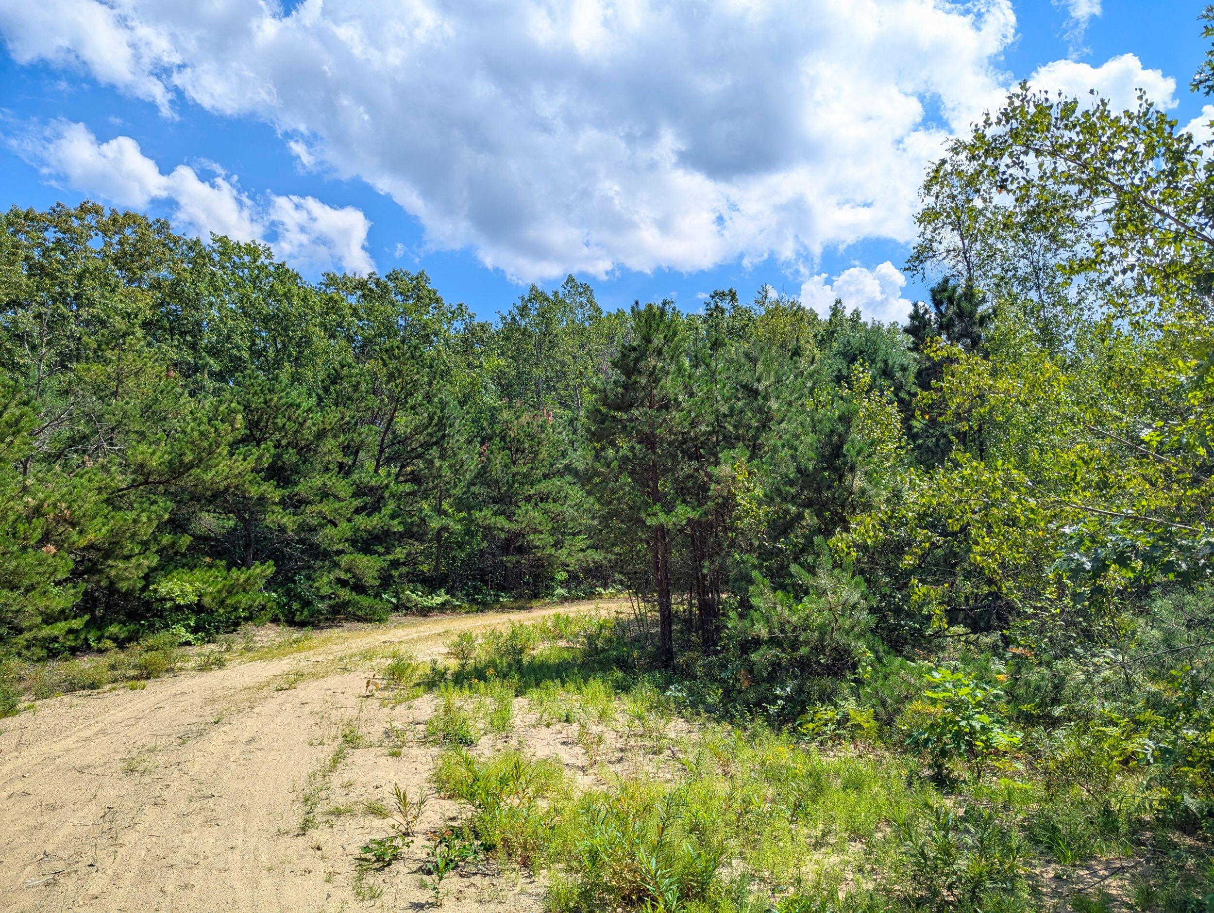 main property photo 8