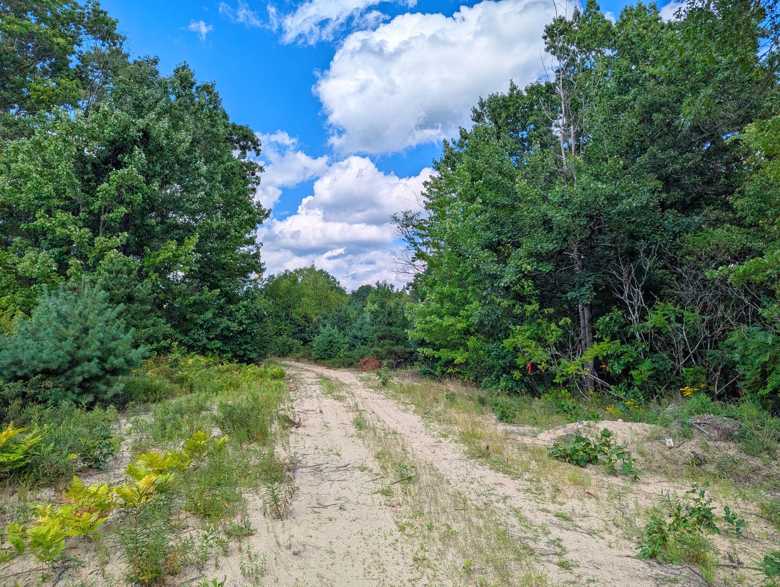 main property photo 15