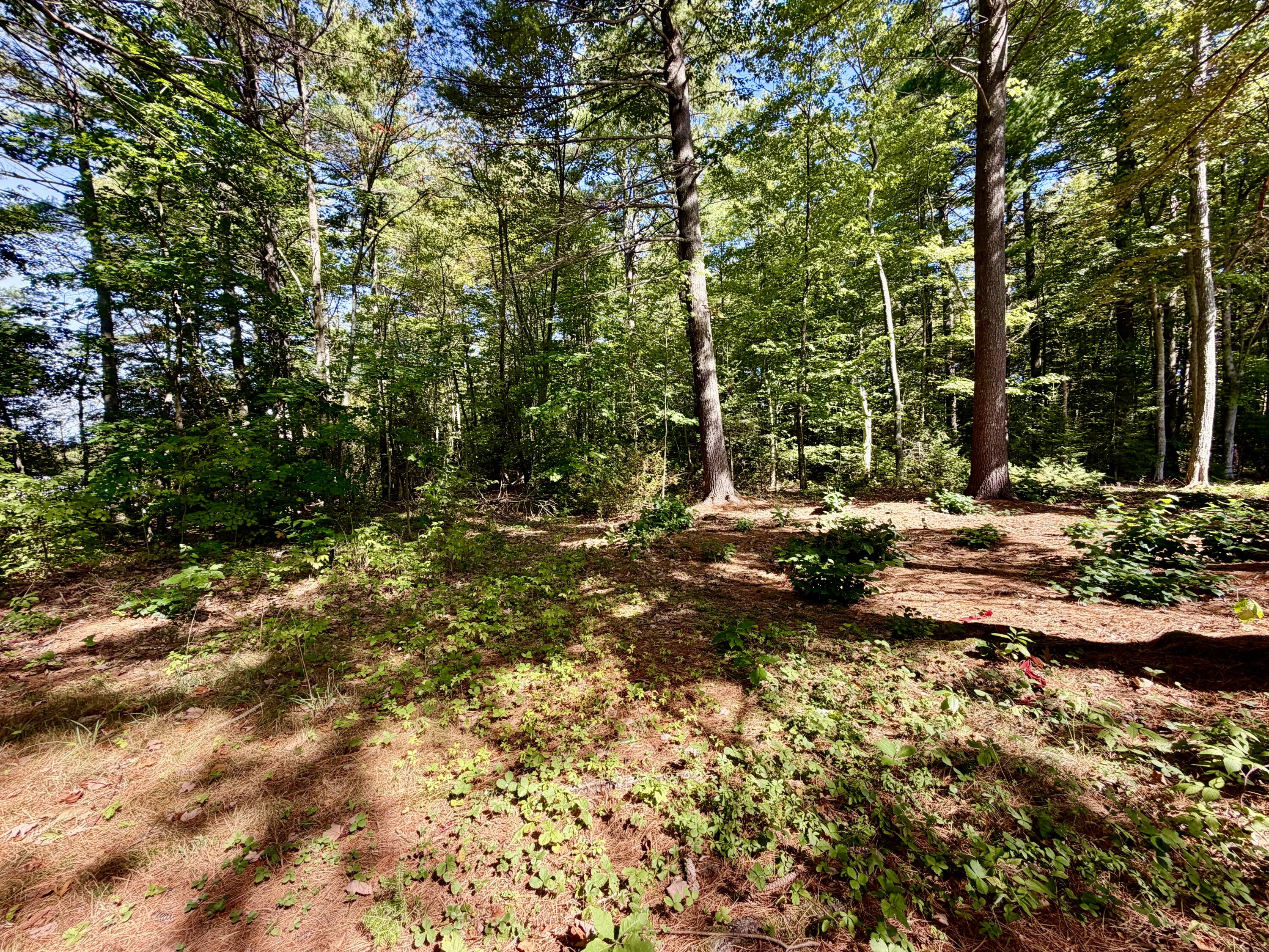 main property photo 105