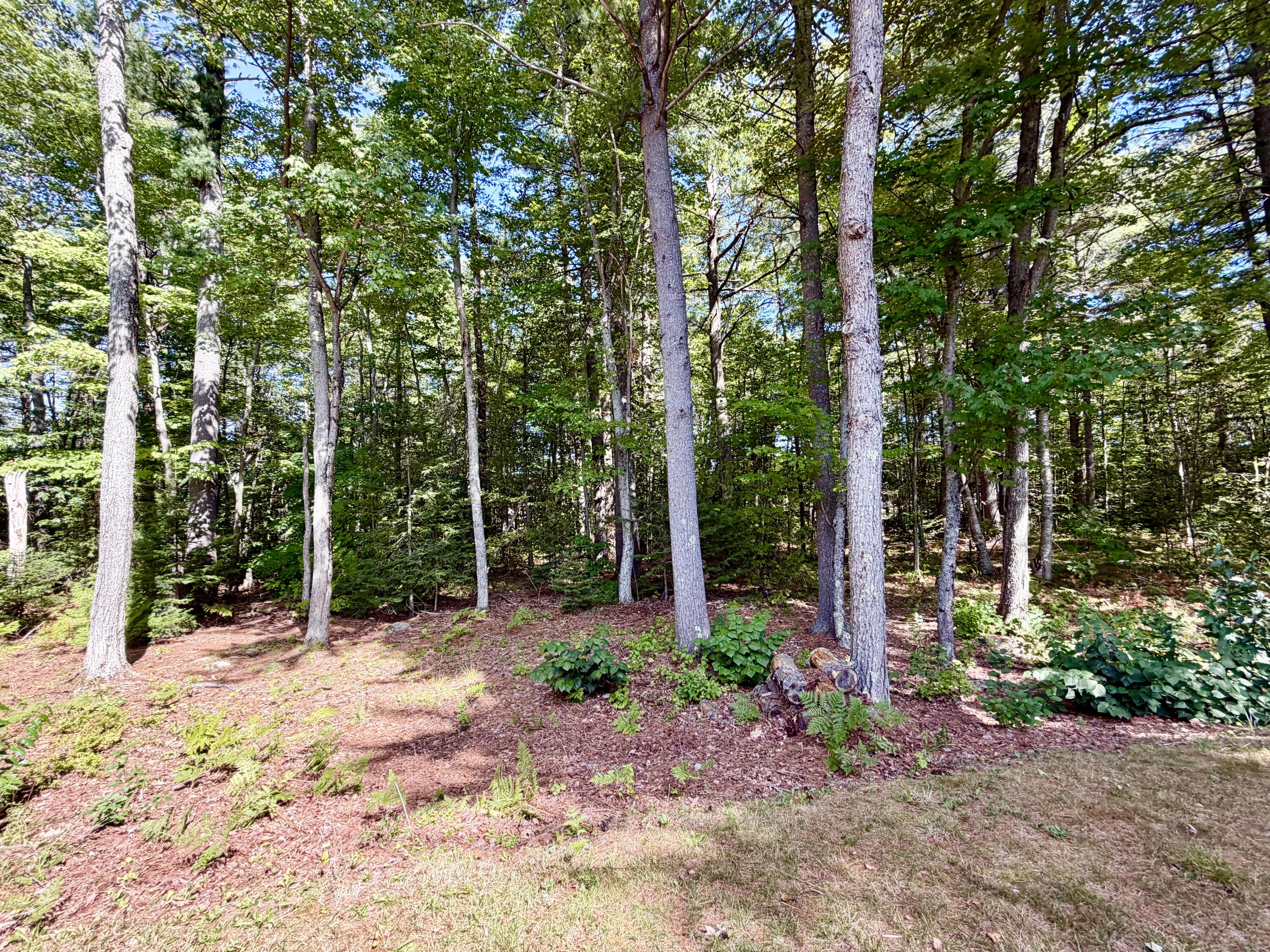 main property photo 113